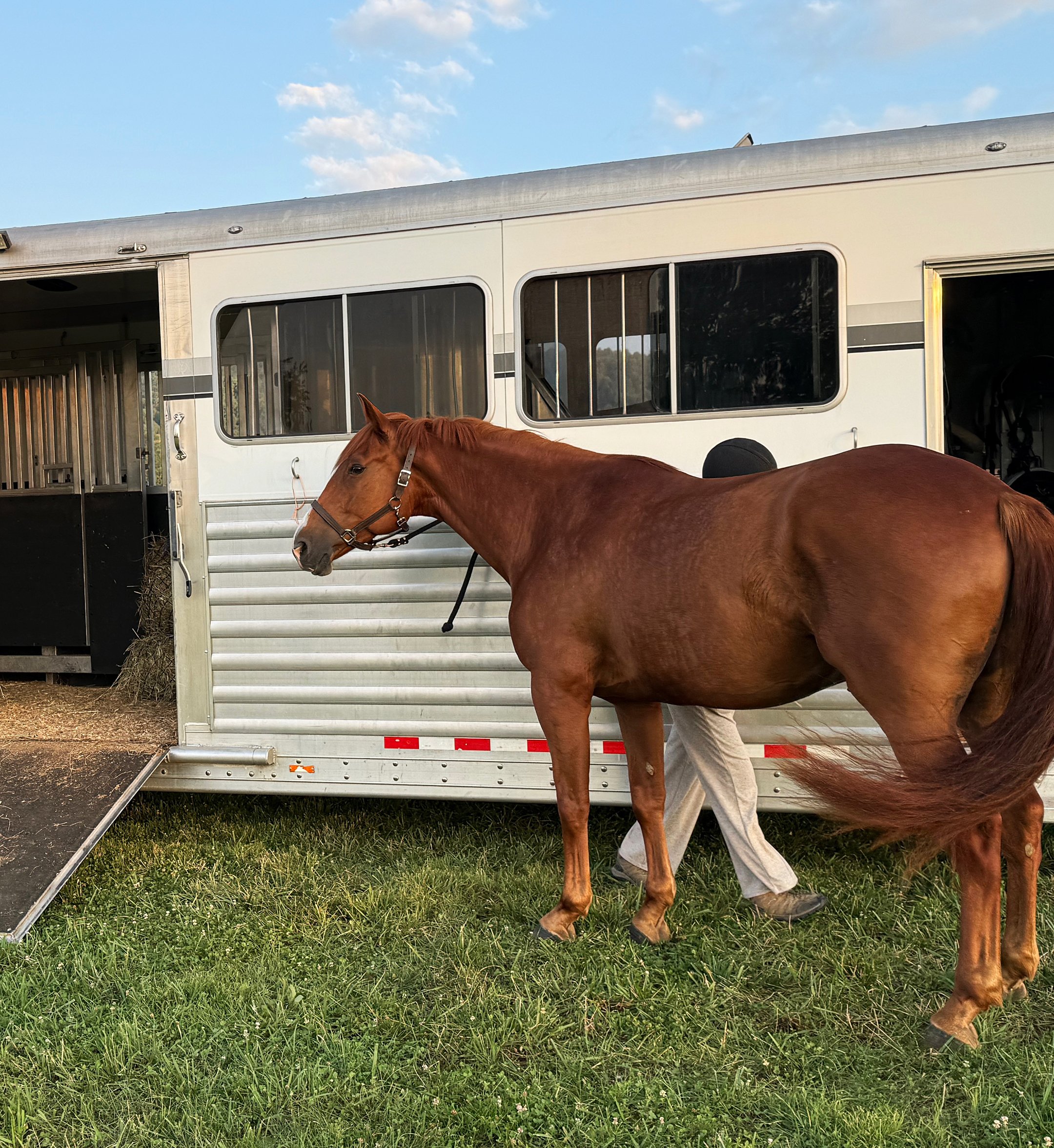 Titanium & Amelia RGF trailer 1.jpg
