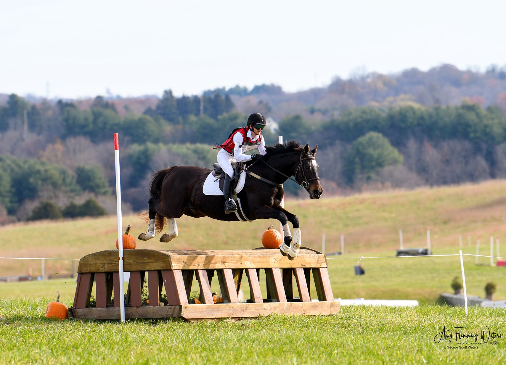 Jelly Bean FMFHT xc jump 1.jpg