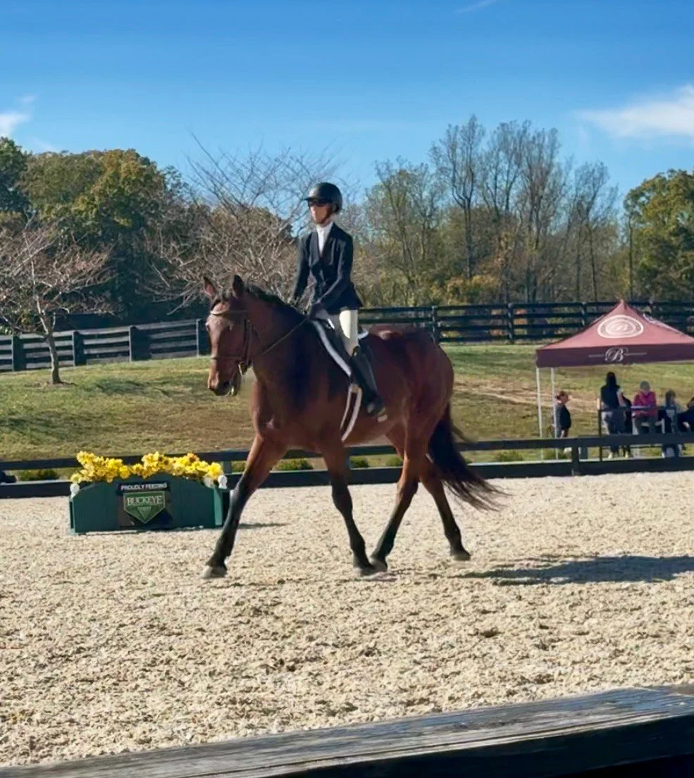 Nesta BVHS trot 1.jpg