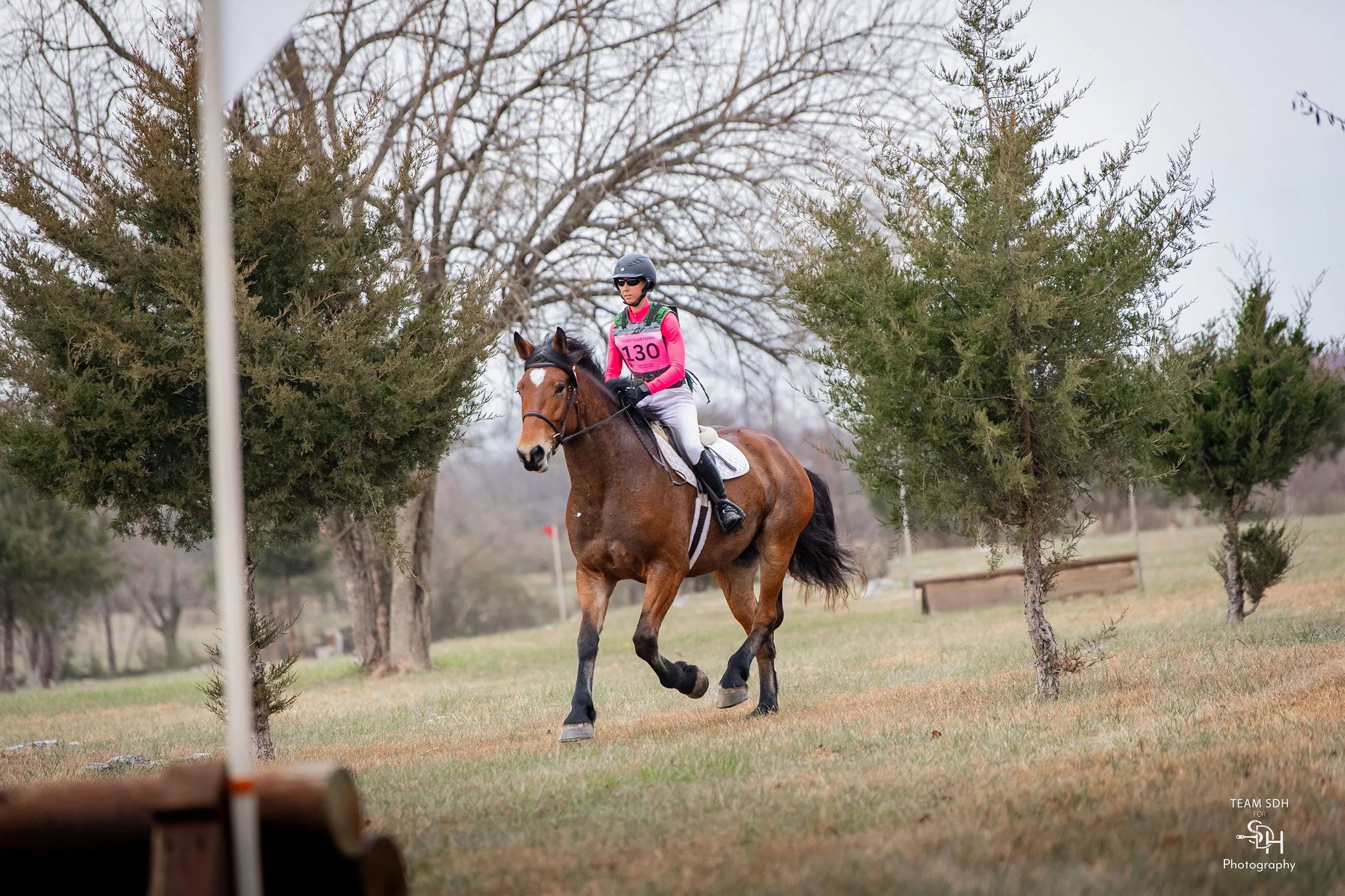 Bash HCFST prof gallop 2 med.jpg