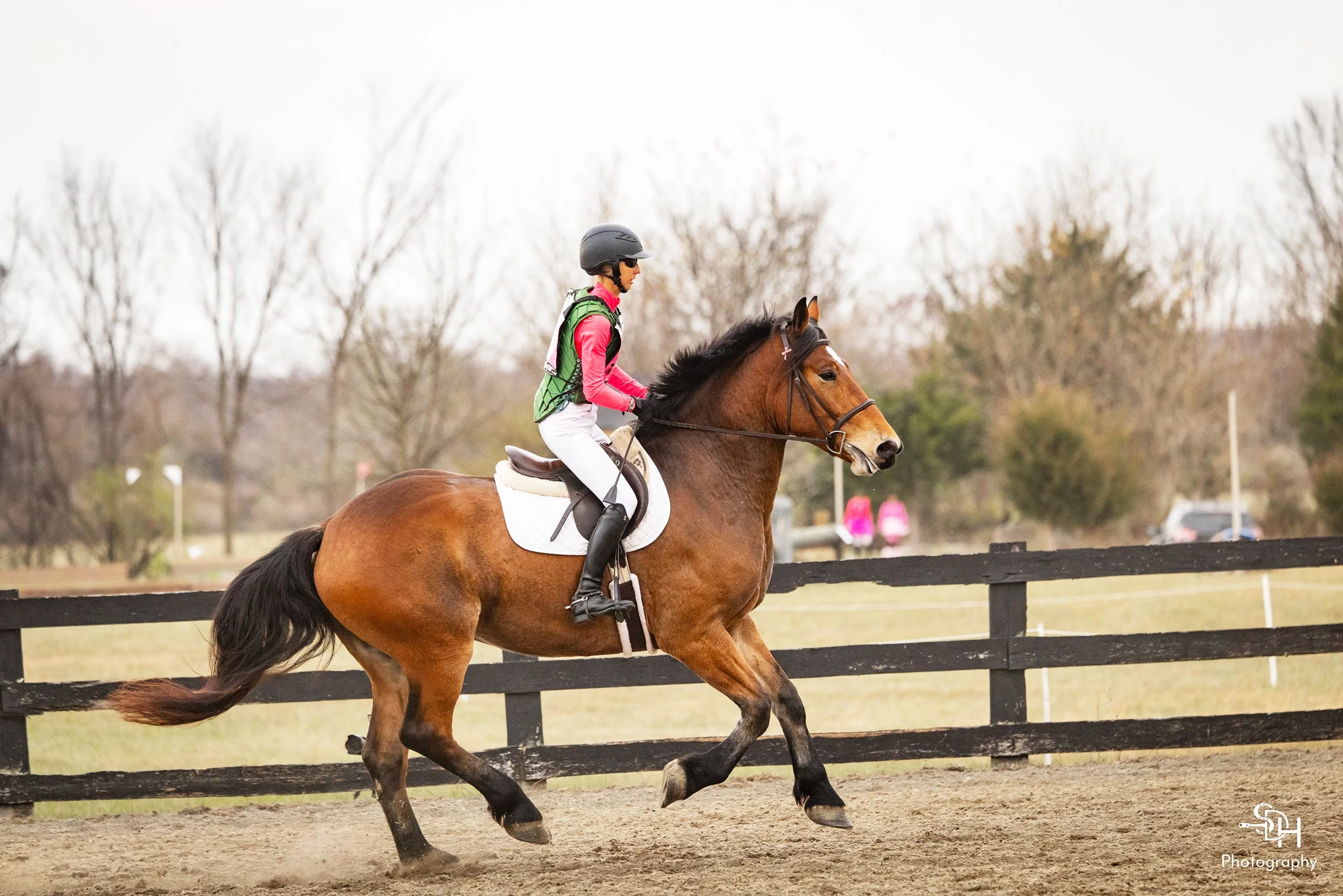 Bash HCFST prof canter 2 med.jpg