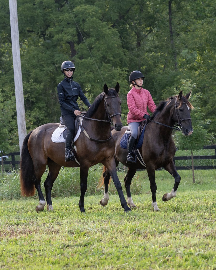 Mulch roading prof 2.jpg