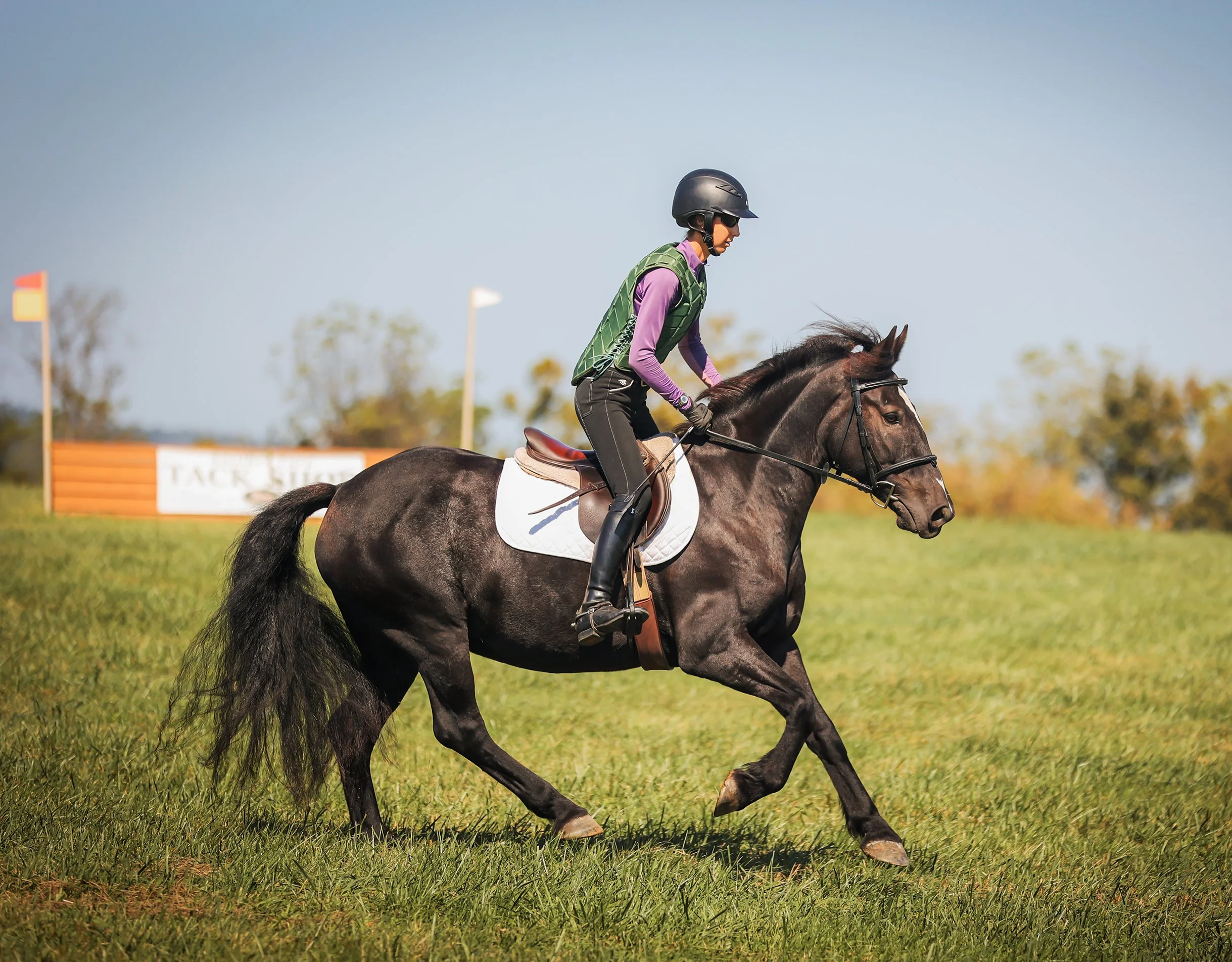 Ruca RGST prog gallop 1 med.jpg