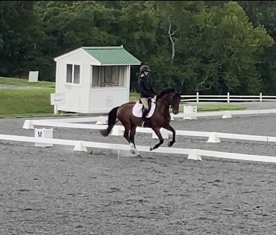 Marcelo MDTW canter 1.jpg