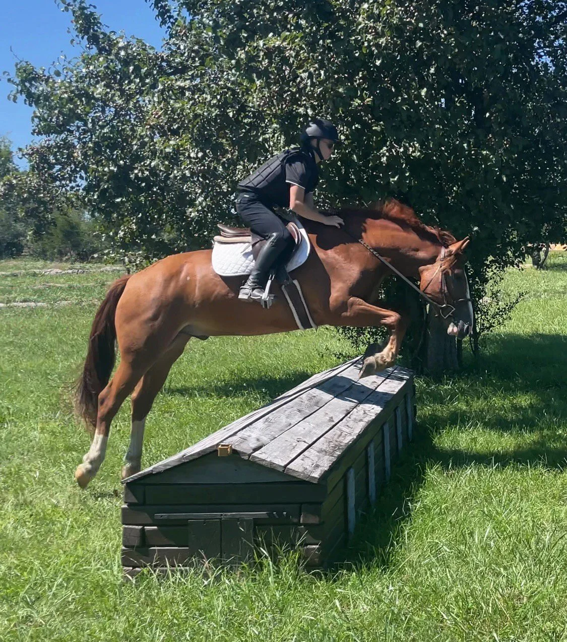 Rillo XC jump 3.jpg