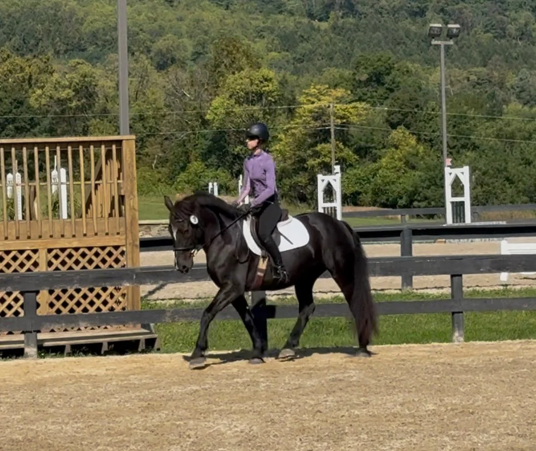 Ruca RGST trot 3.jpg