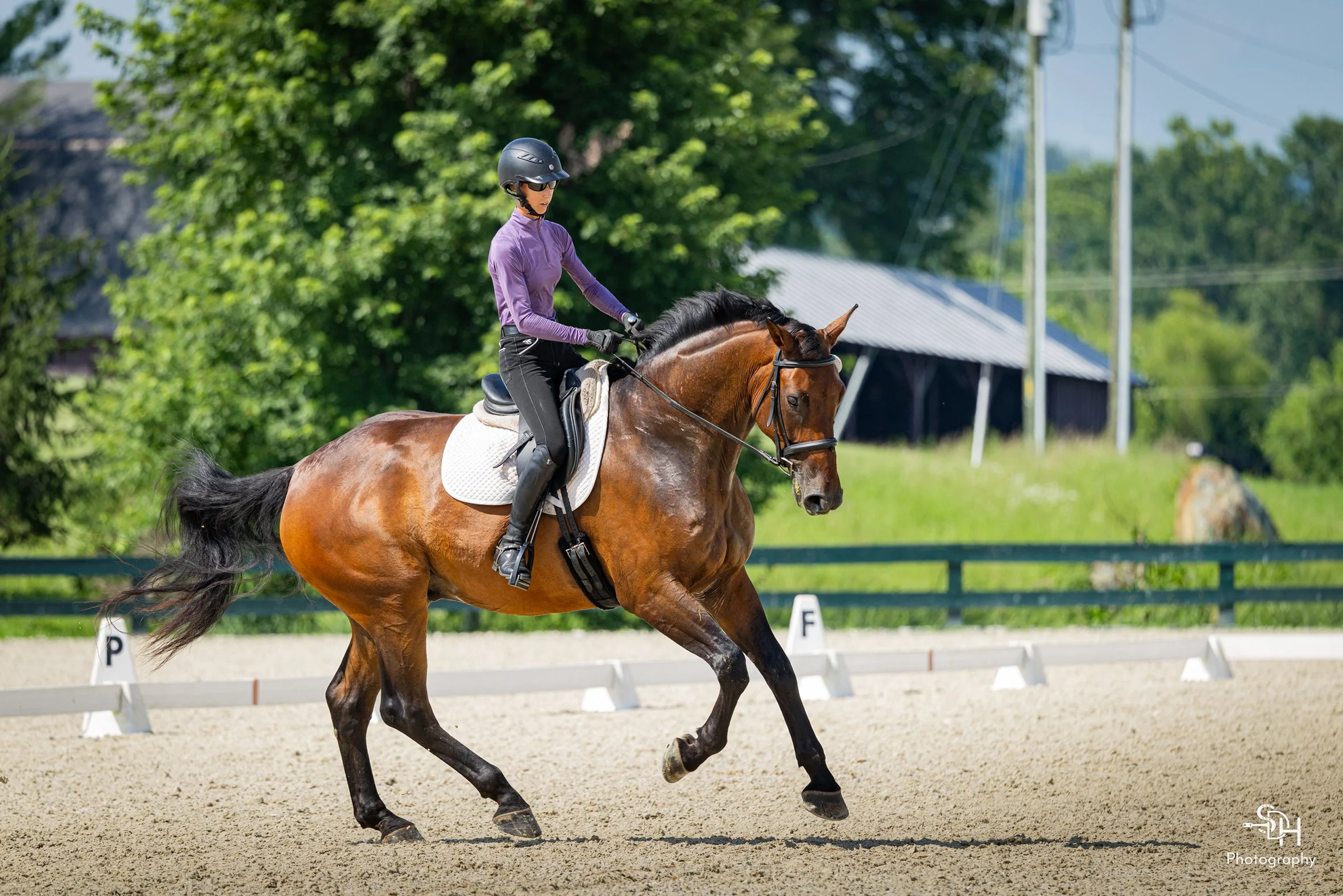 Jacek GMDS canter 1 med.jpg