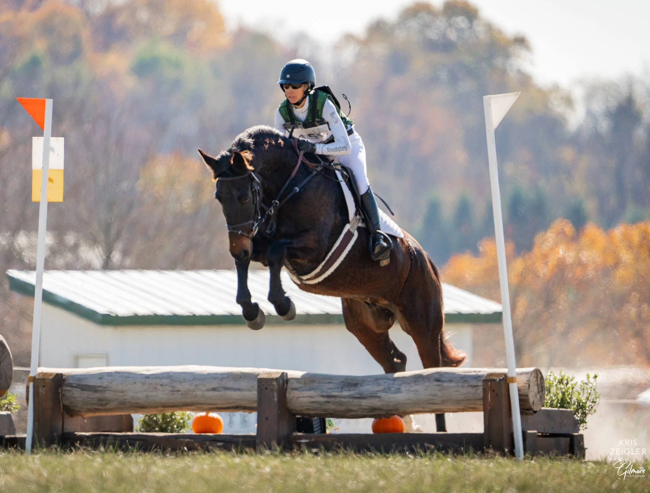 Mulch MDST2 prof xc jump 1.jpg