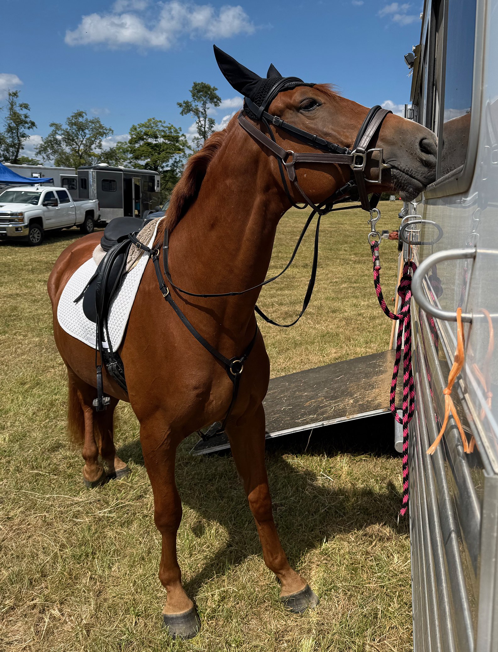 Titanium CDCTA cute 1.jpg