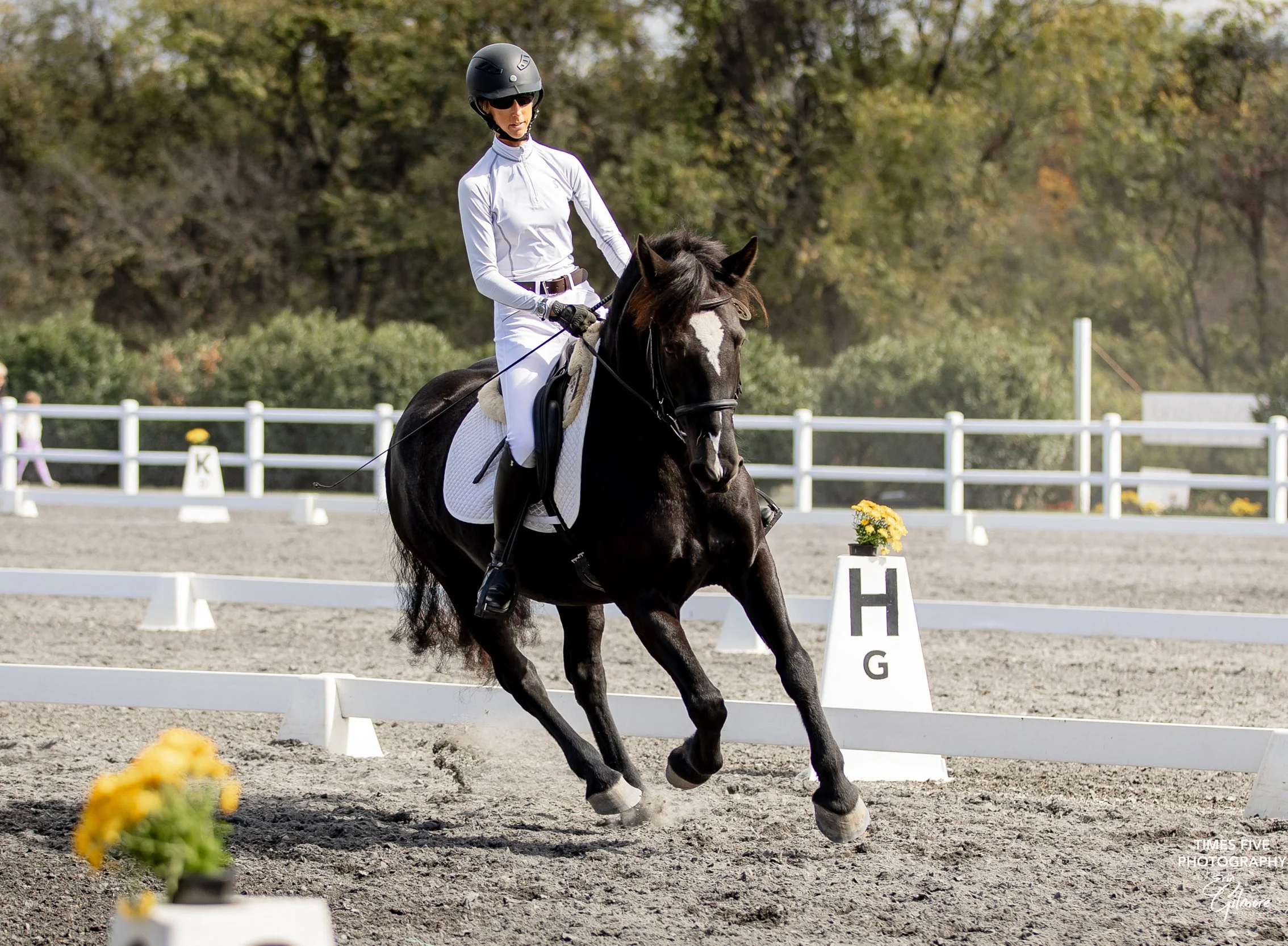 Ruca MDST prof canter 1.jpg