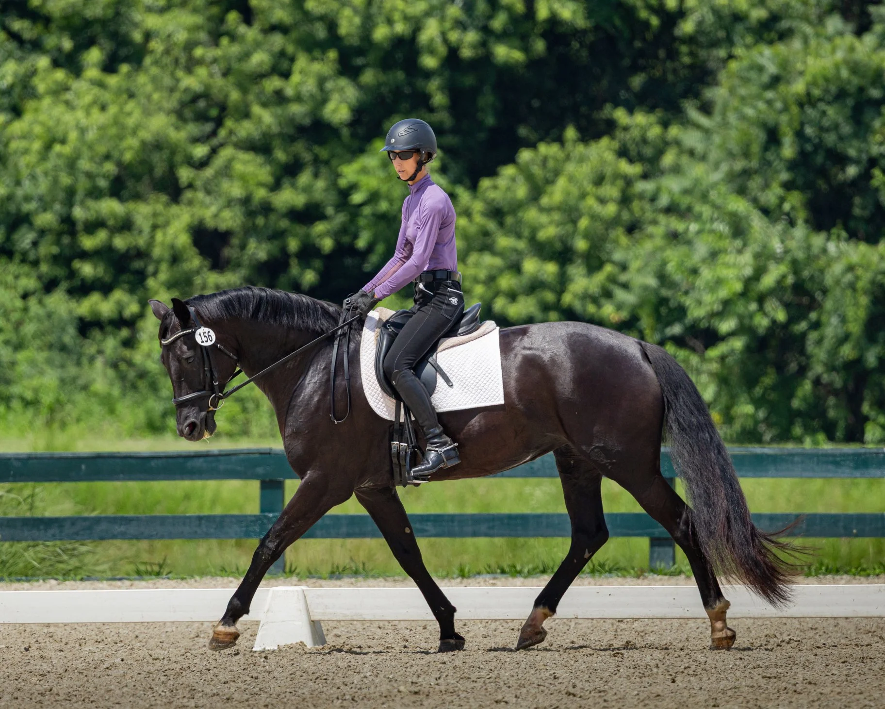 Fierce GMDS trot 1.jpg