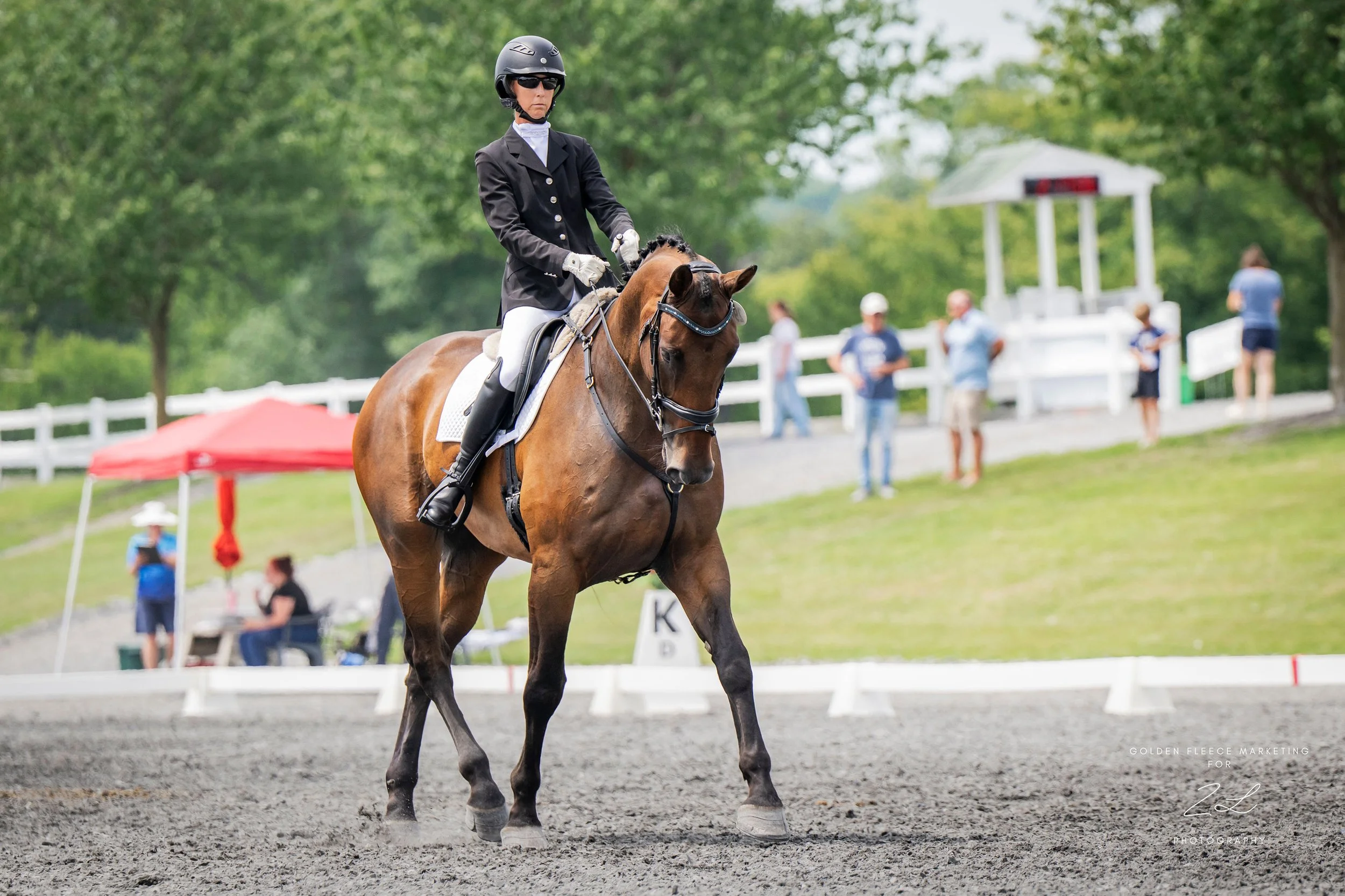 Jacek LMF Dressage trot 1.jpg