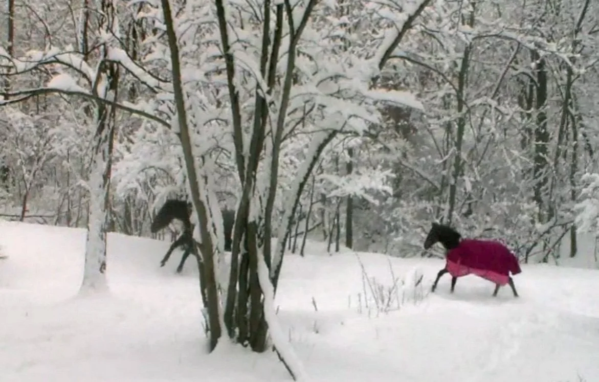 Ilka in snow 1.jpg
