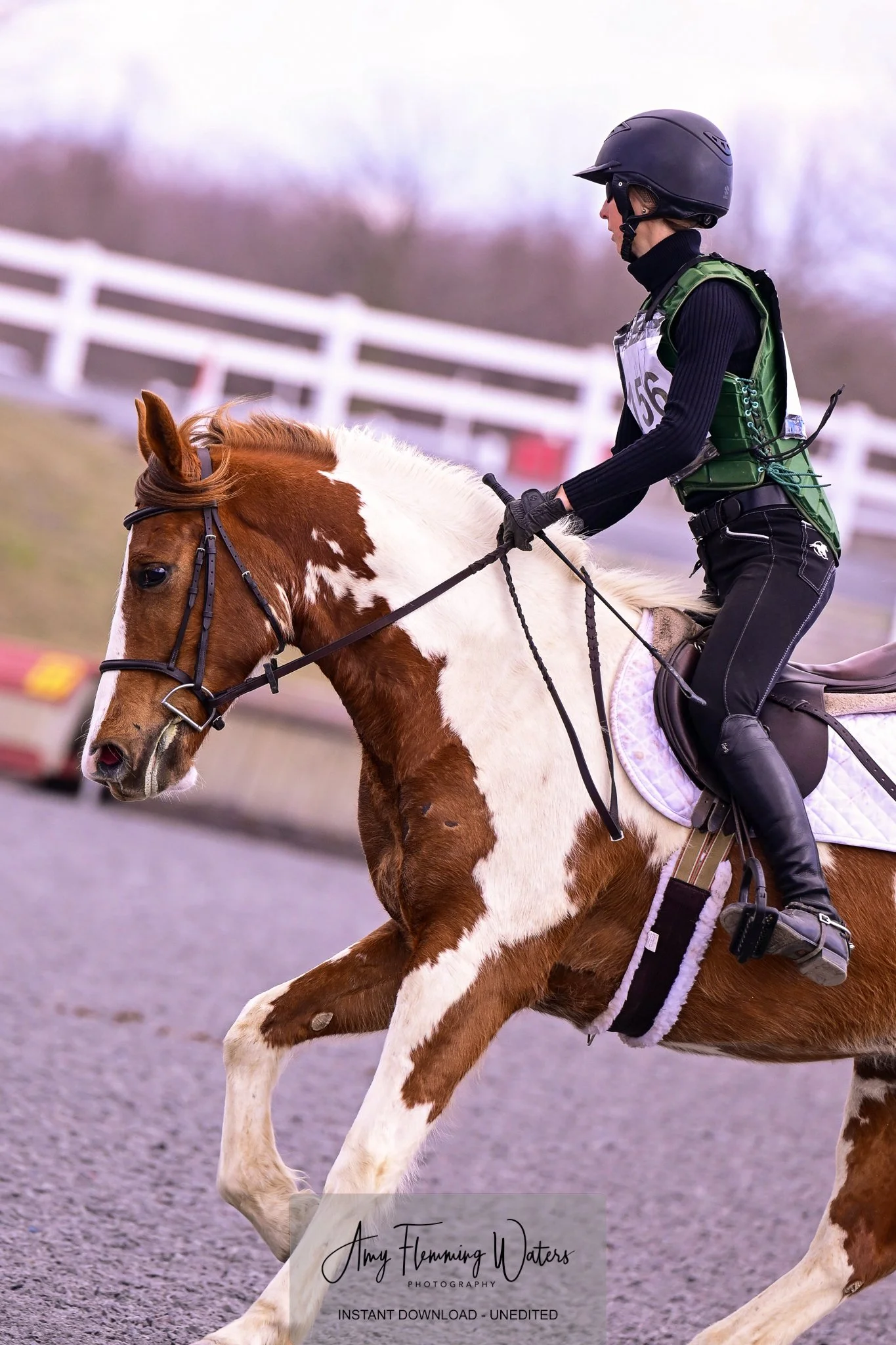 Fish 2 MDHTED prof canter 3.jpg