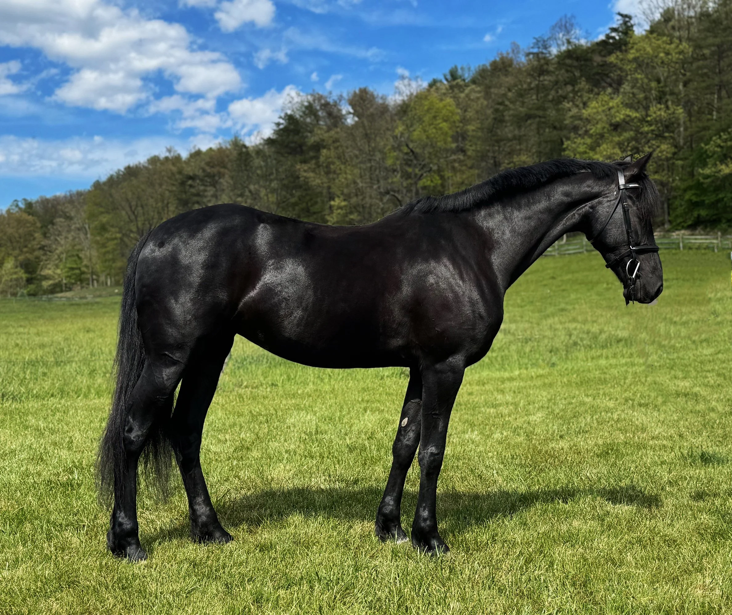 Maggie RS 5-26-3.jpg