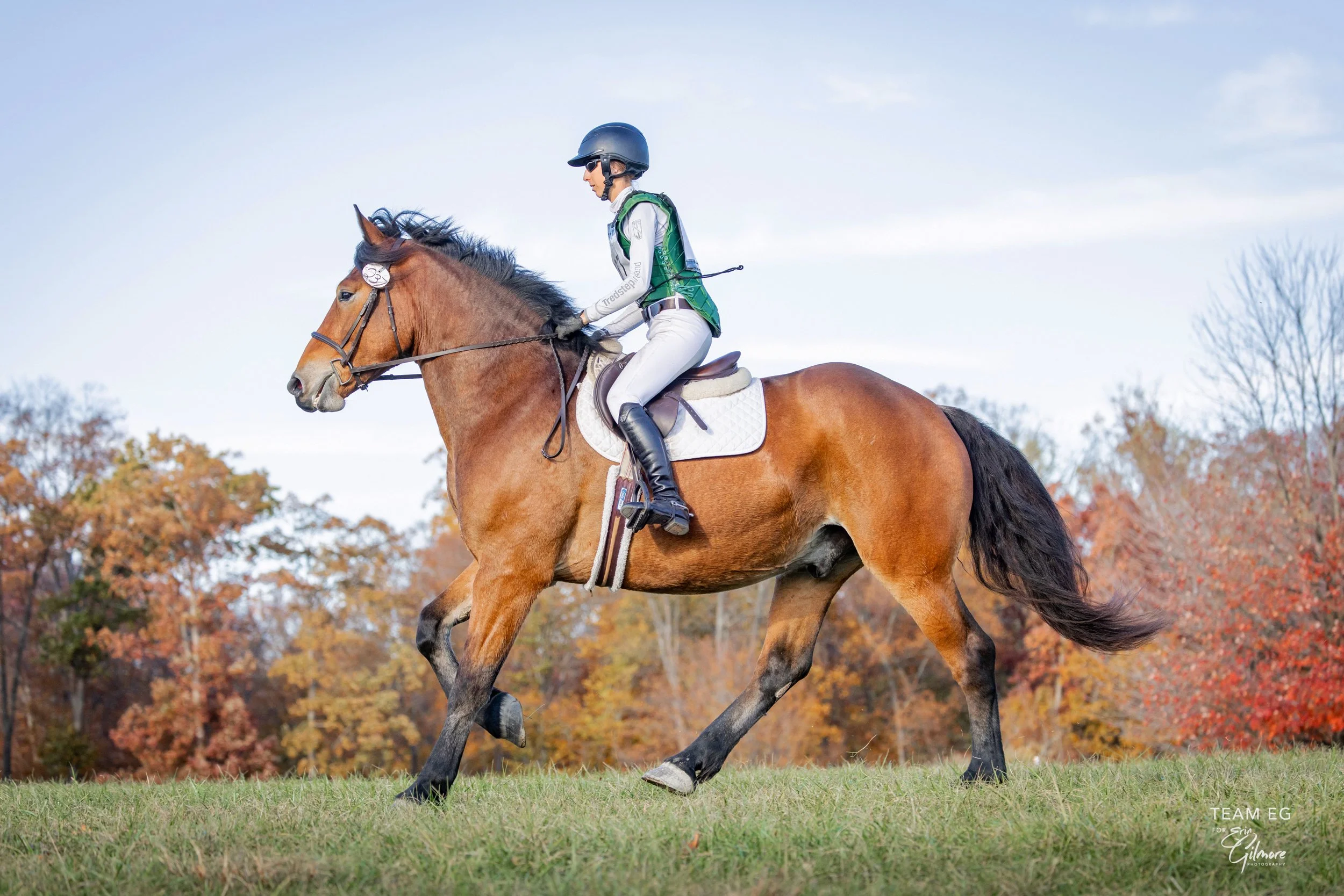 Bash MDHTST prof xc gallop 1.jpg