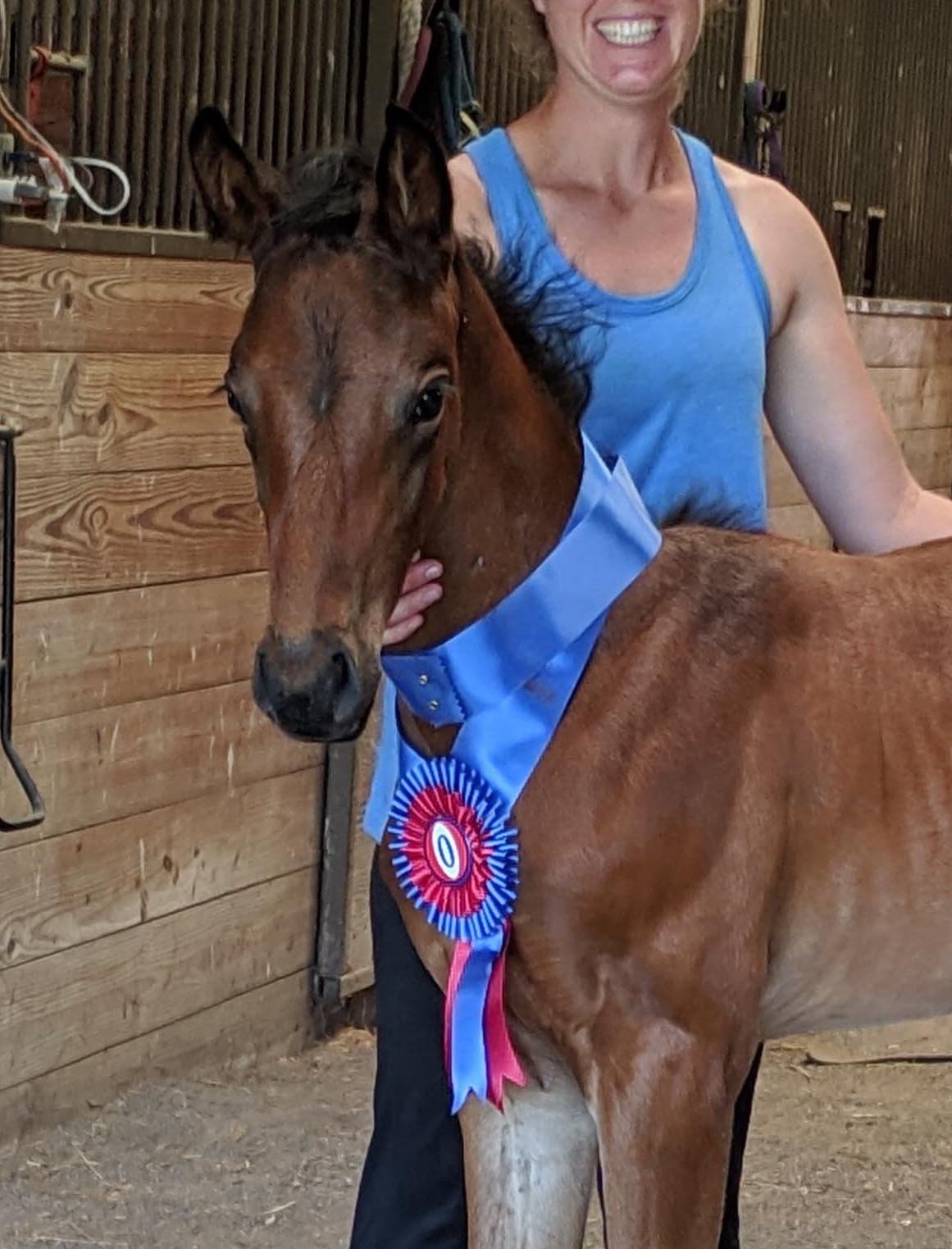 Henotic ribbon 1.jpg