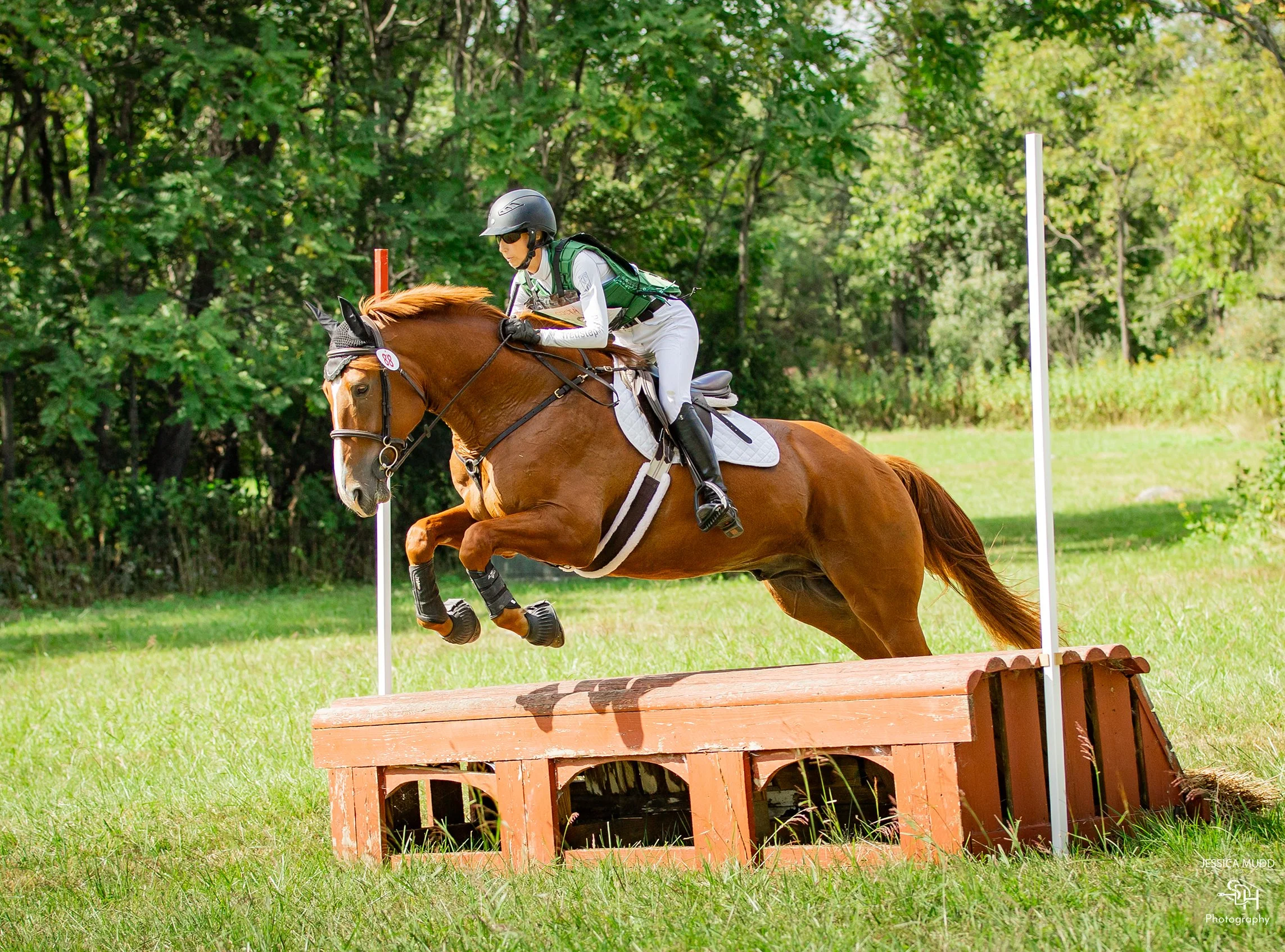 Titanium CDCTA prof xc jump 1 med.jpg
