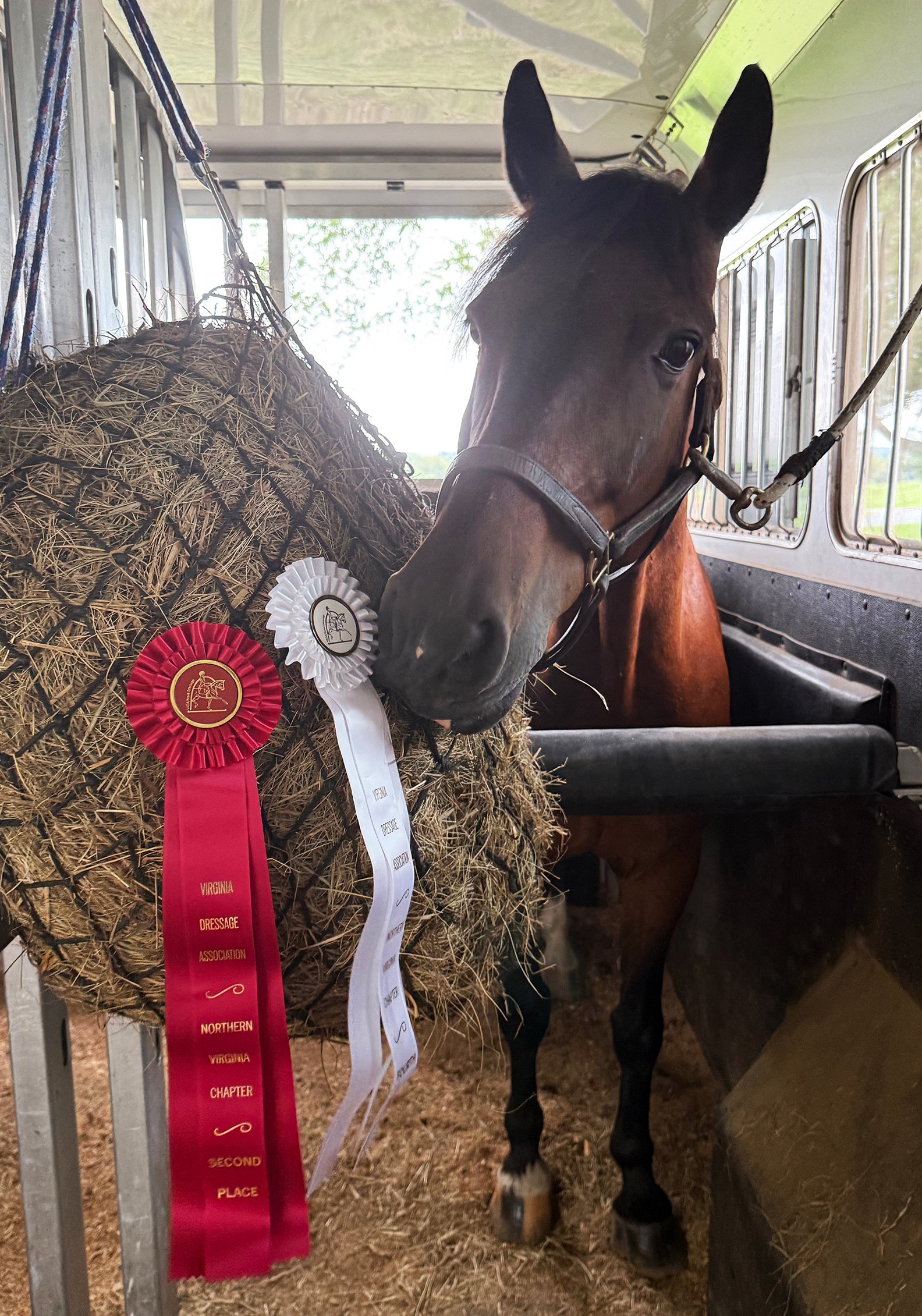 Marcelo MPRDS ribbons.jpg