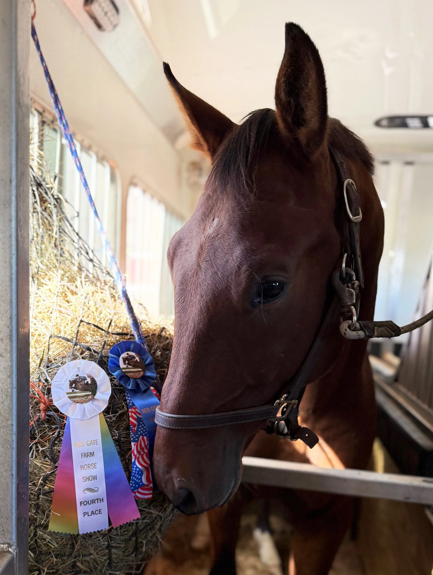 Fame RGFHS ribbons.jpg