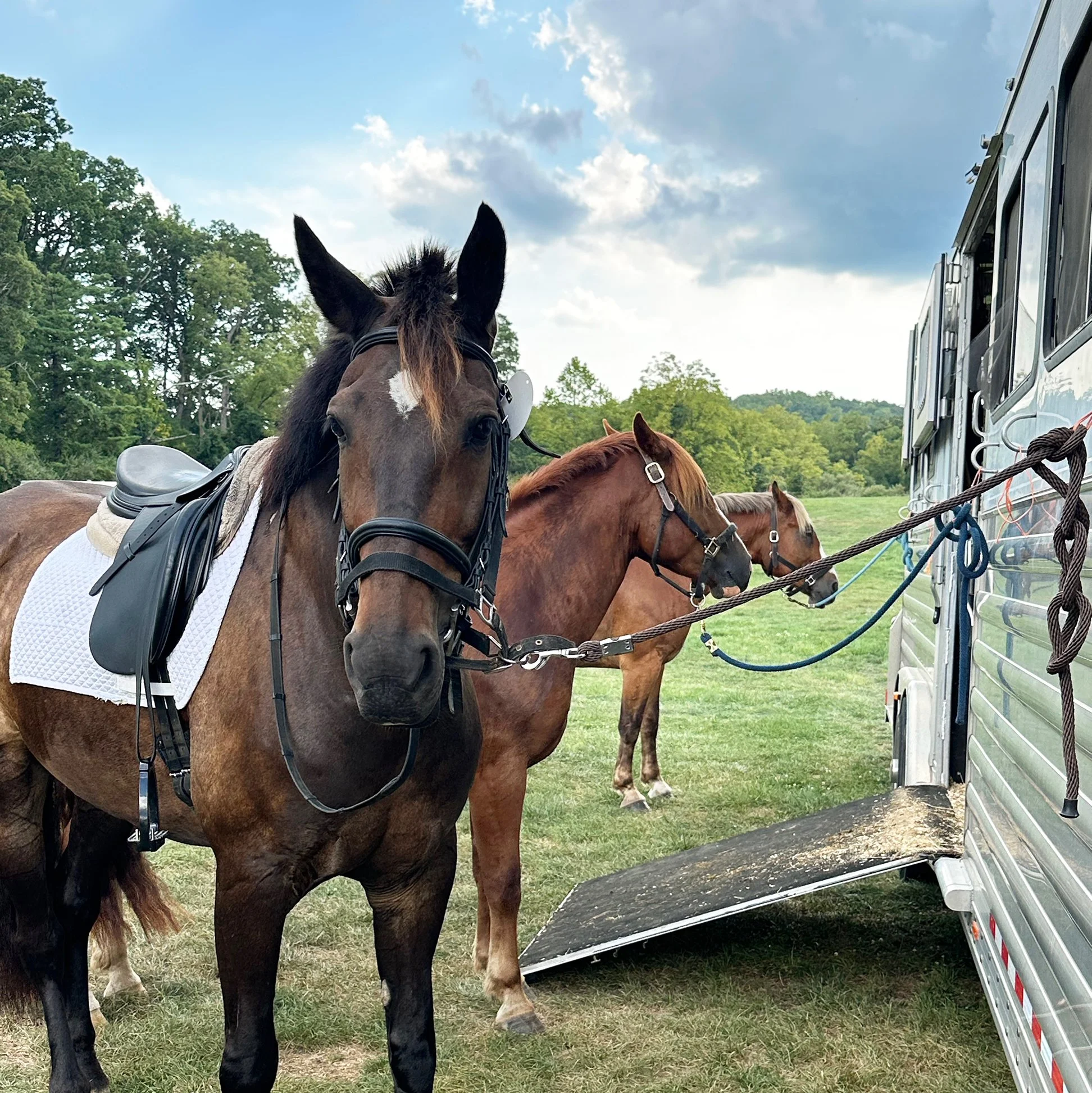 Shultz GMDS tie 1.jpg