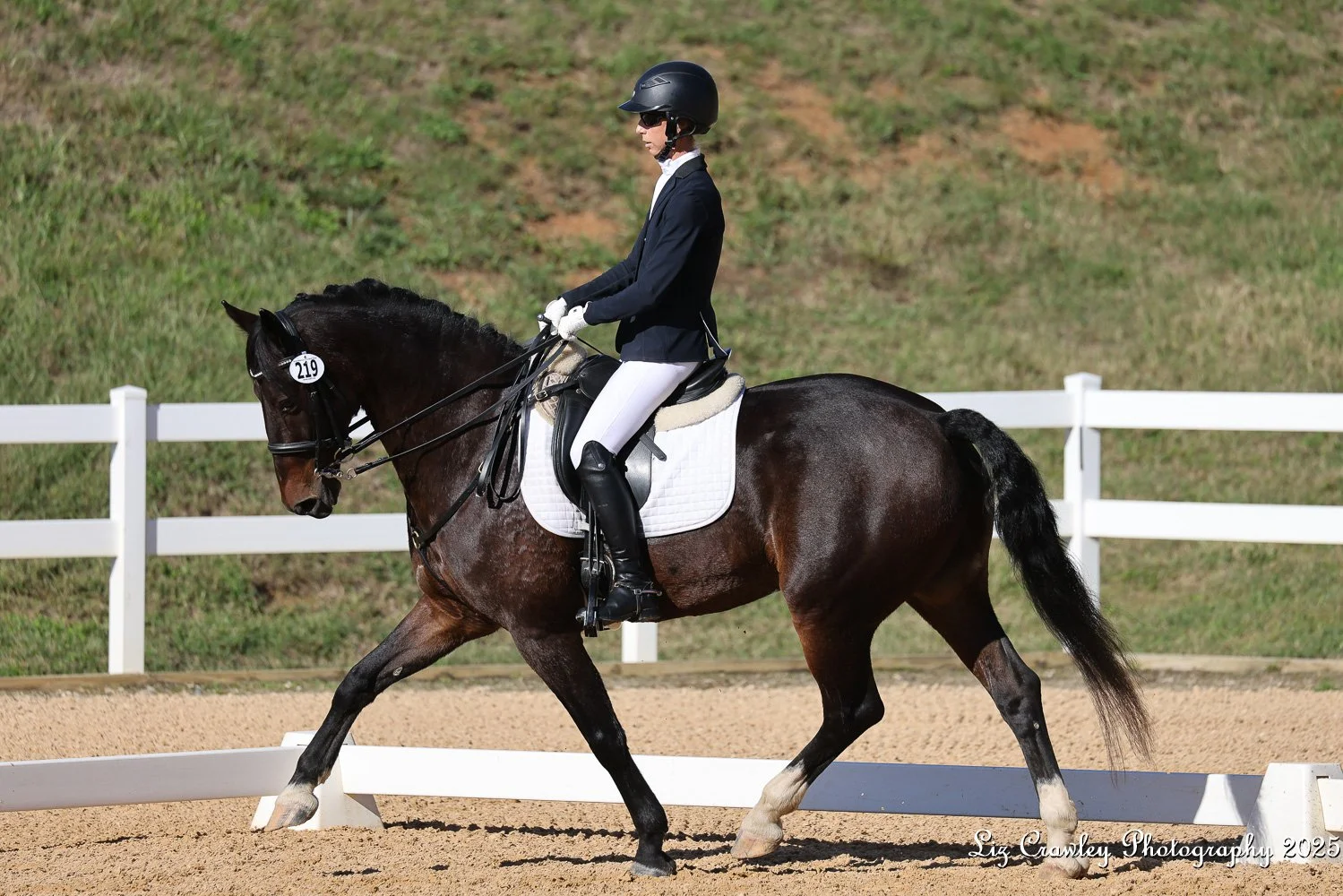 Marcelo GAIG25 prof trot 3.jpg