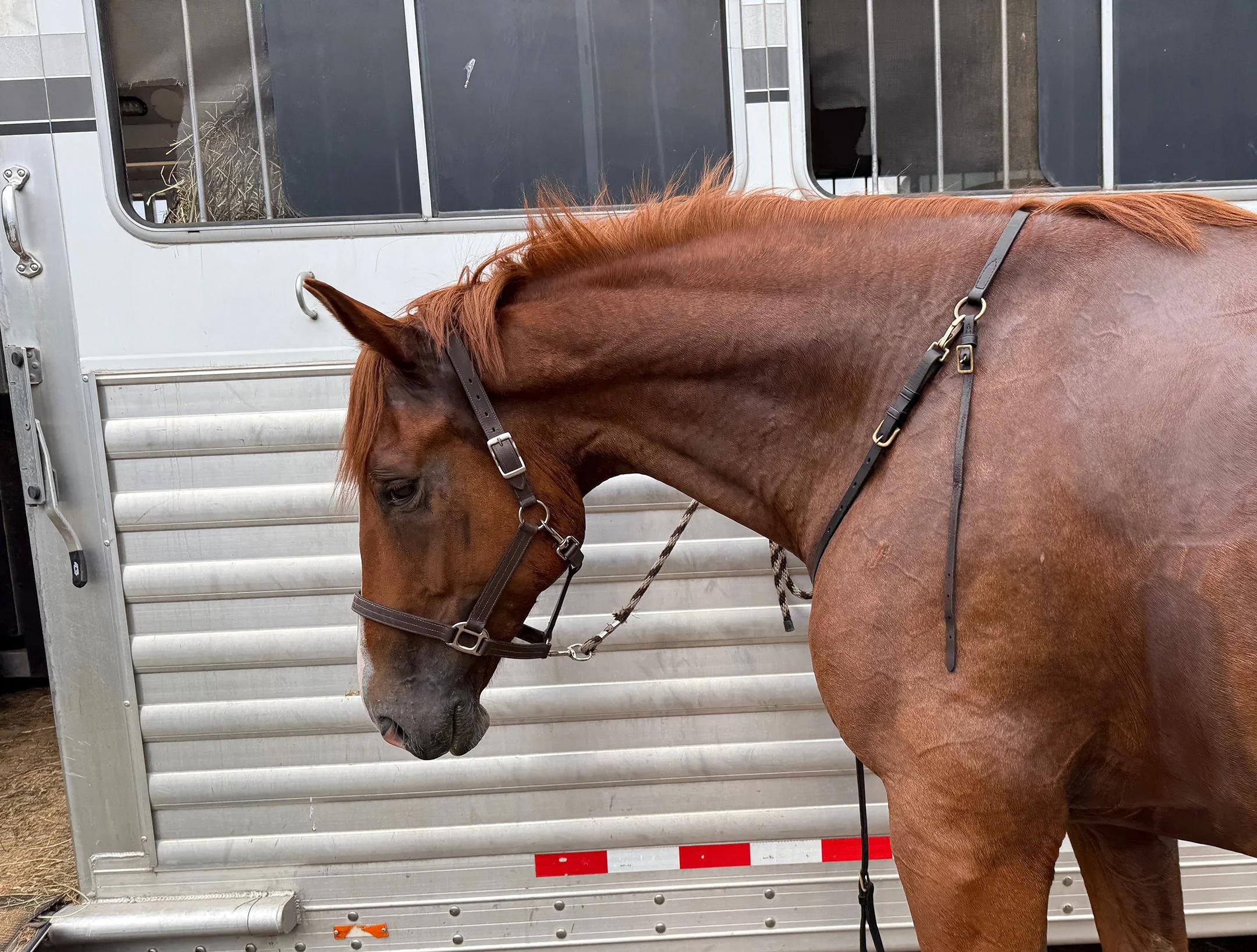 Titanium MDHTTW@ tie 2.jpg