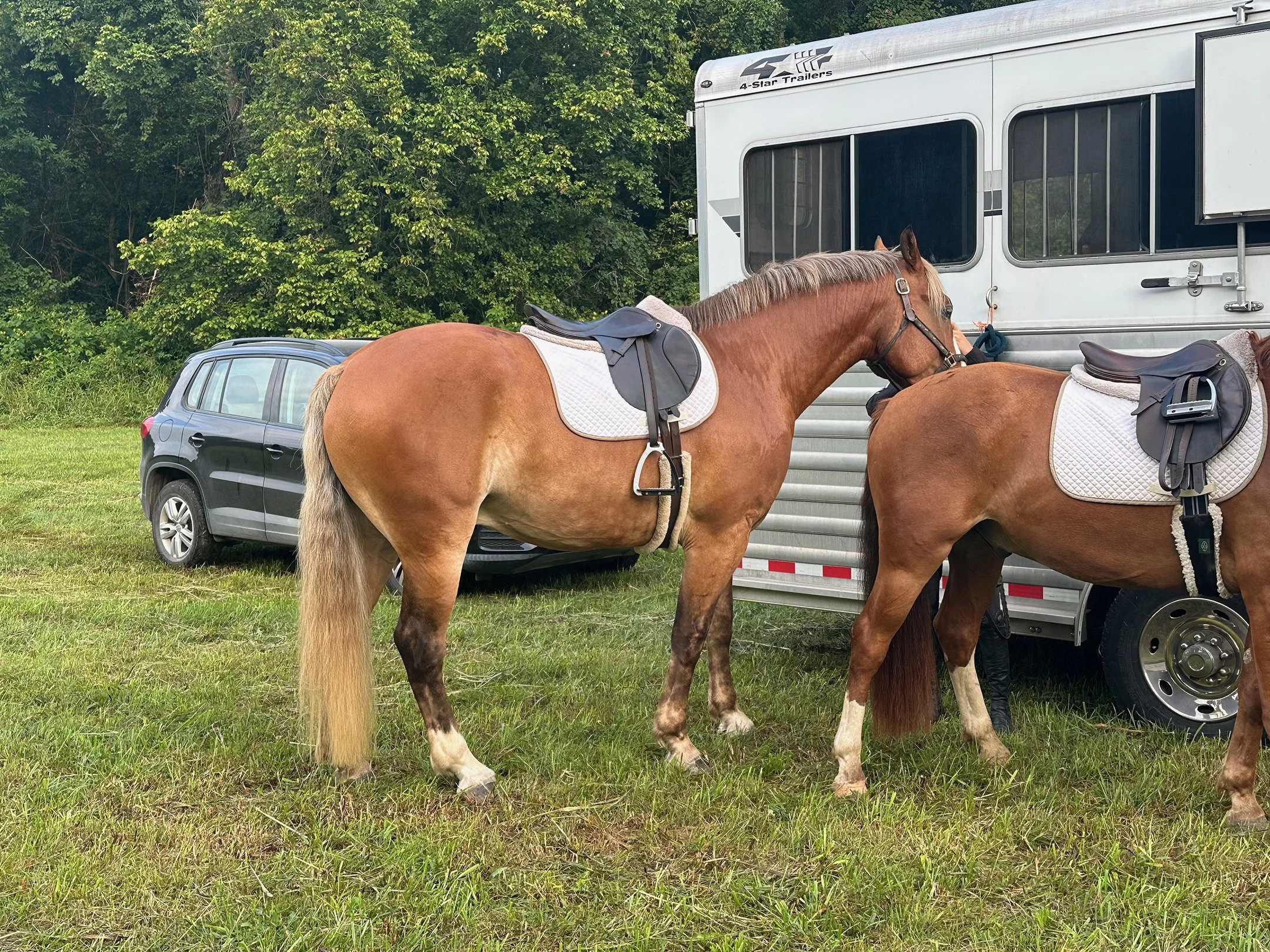 Dewey roading 8-24-5.jpg