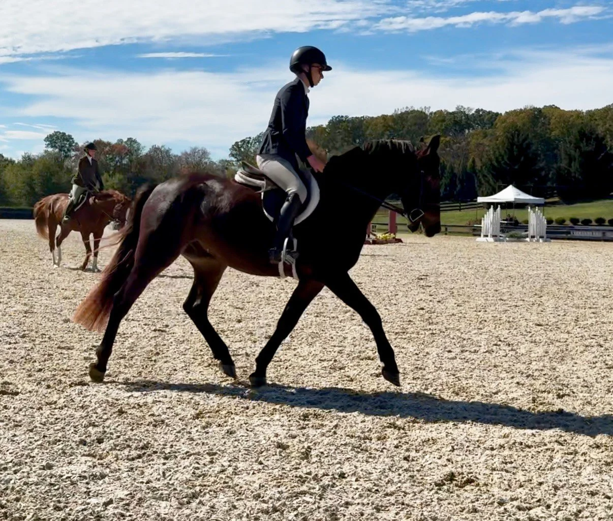 Zolin BVHS trot 2.jpg