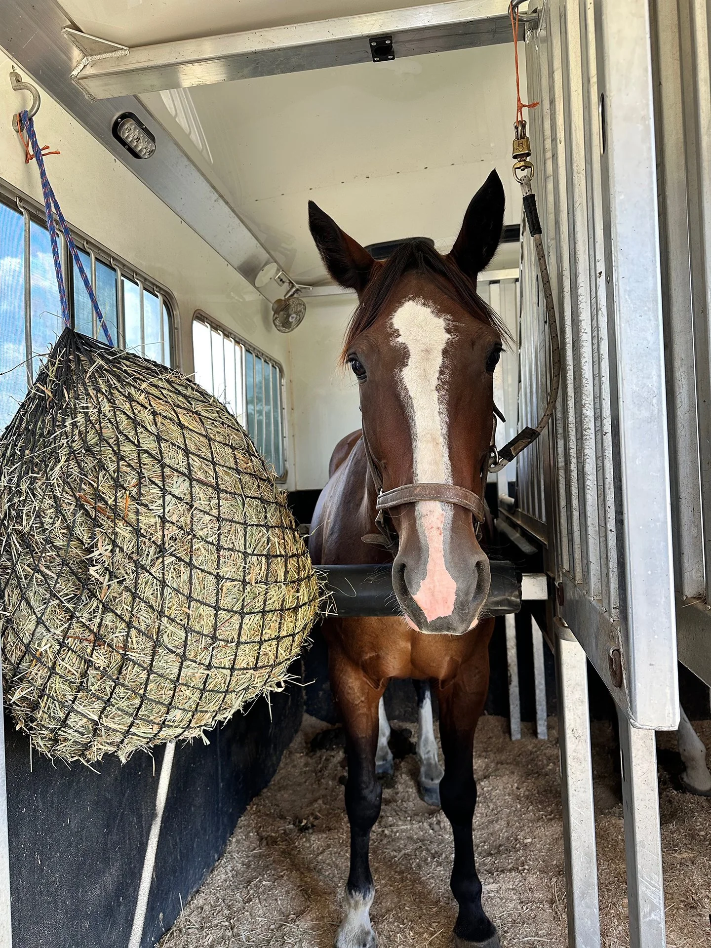 Tee CDCTA trailer 1.jpg