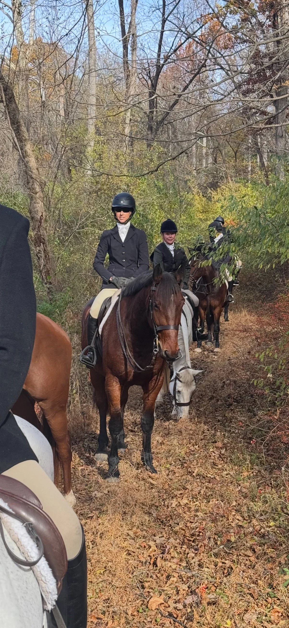 Nesta & A hunt 1.jpg