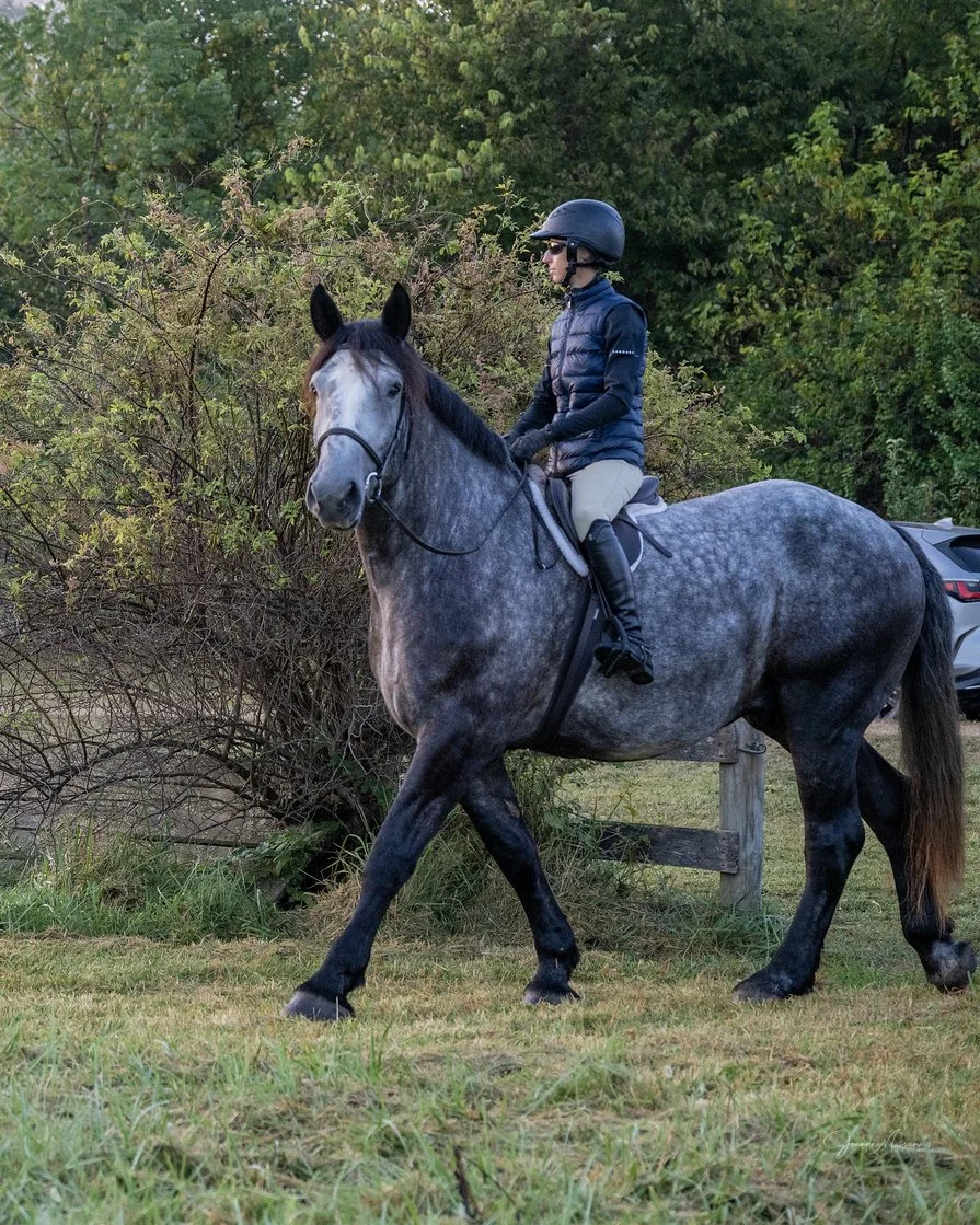 Magnum prog hunt 4.jpg