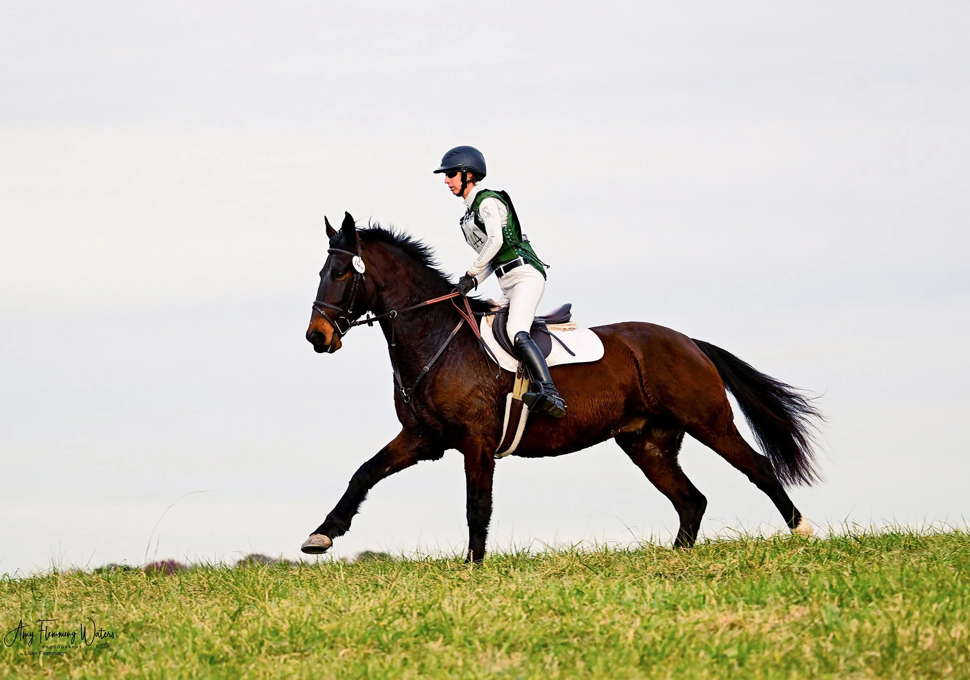 Mulch FMFHT prof gallop 1.jpg