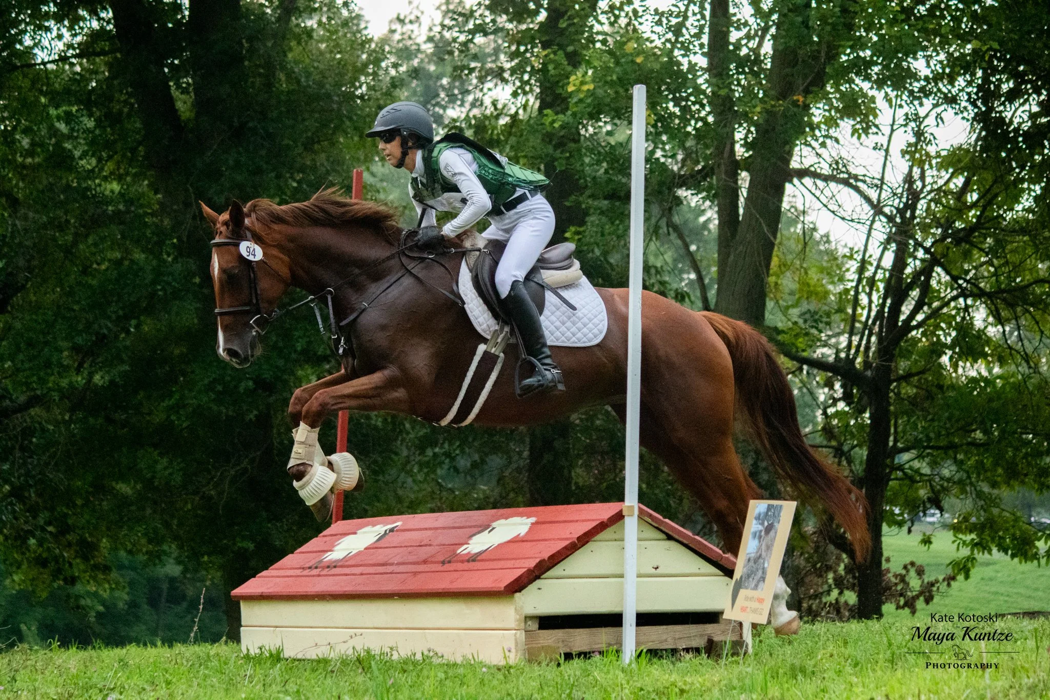 Cadenza WDHT xc jump 1.jpg