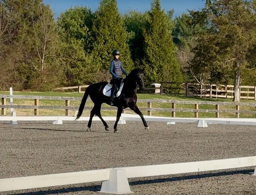 Benevolent TPDS trot 1.jpg