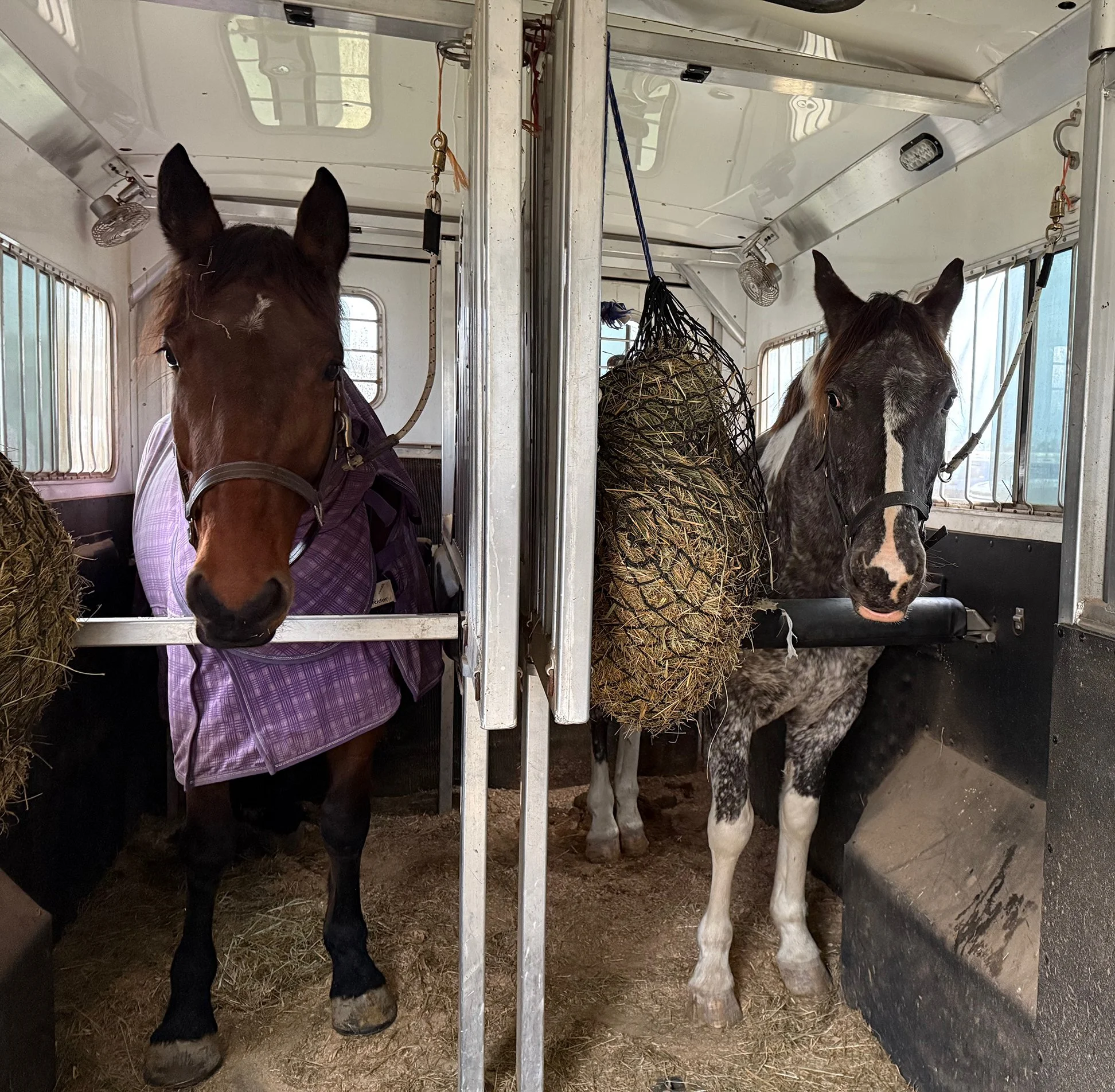 Nesta HCFST trailer 1.jpg