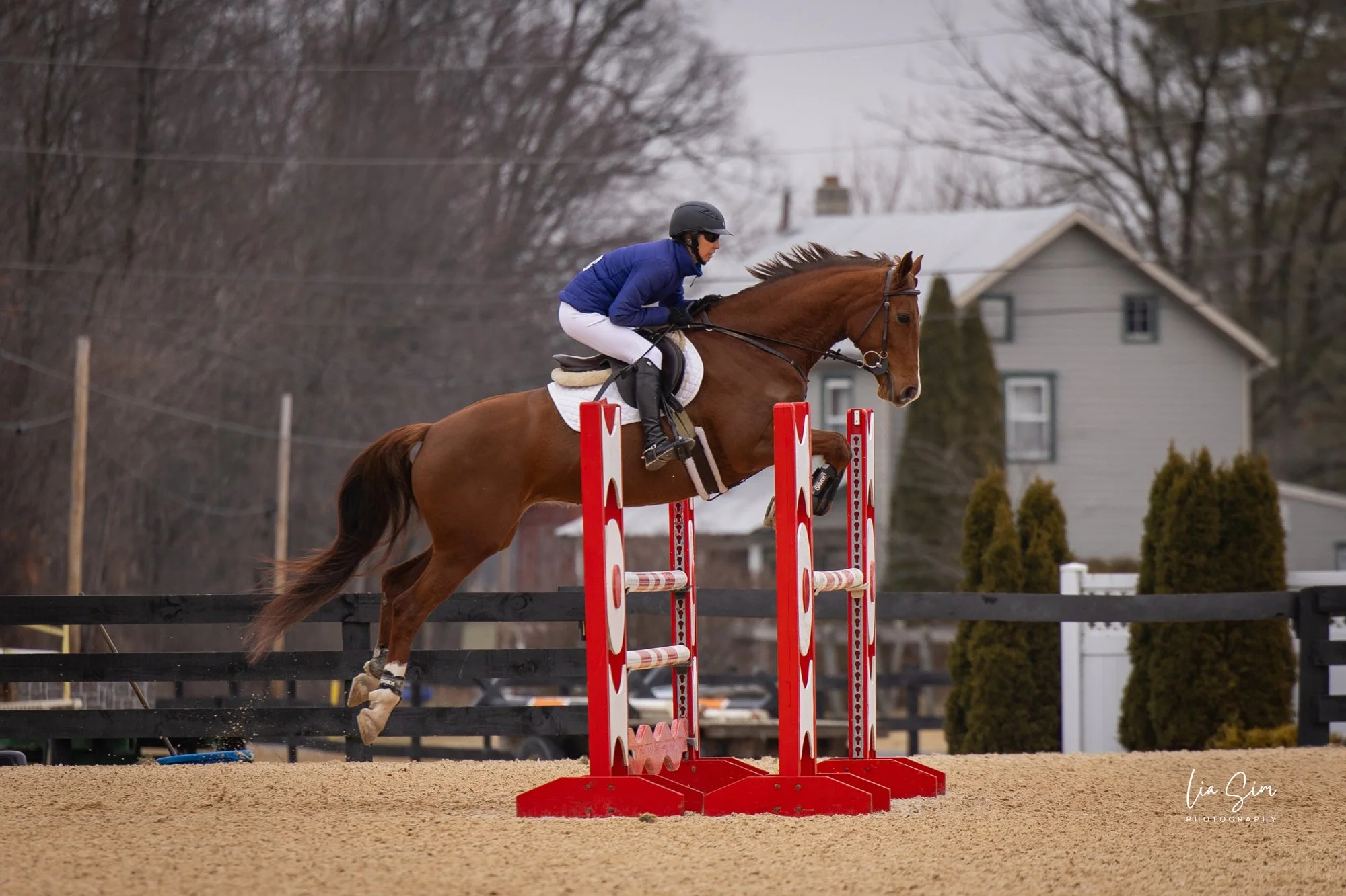 Cadenza - Swan Lake jump 1.jpg