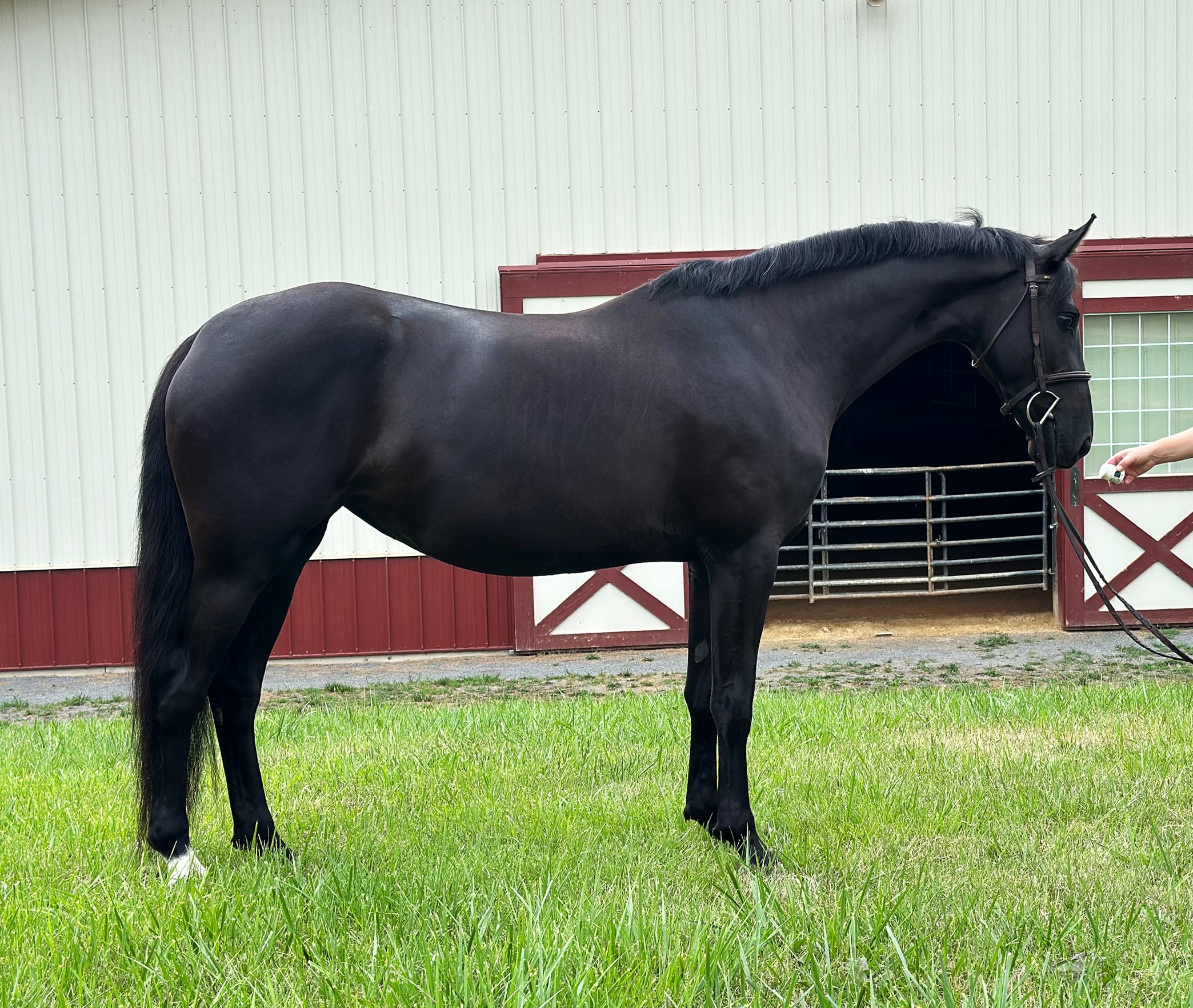 Sasha RS 8-24-2 med.jpg