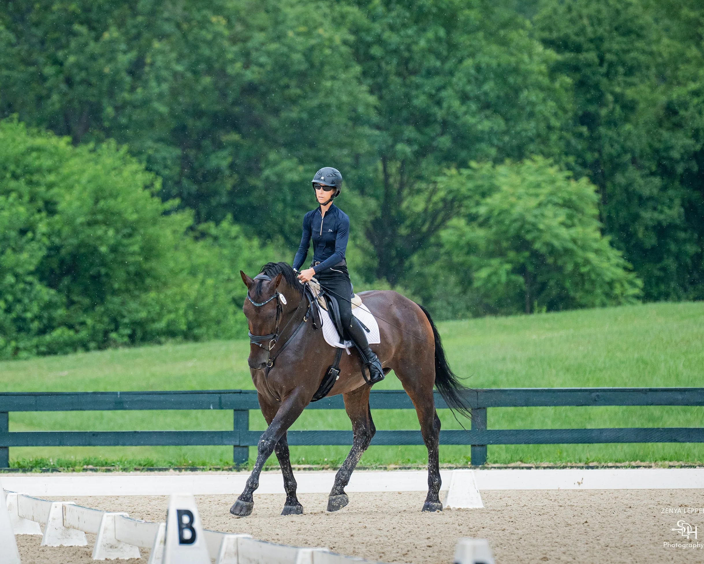 Jacek GMDS 7-26 trot 3 med.jpg