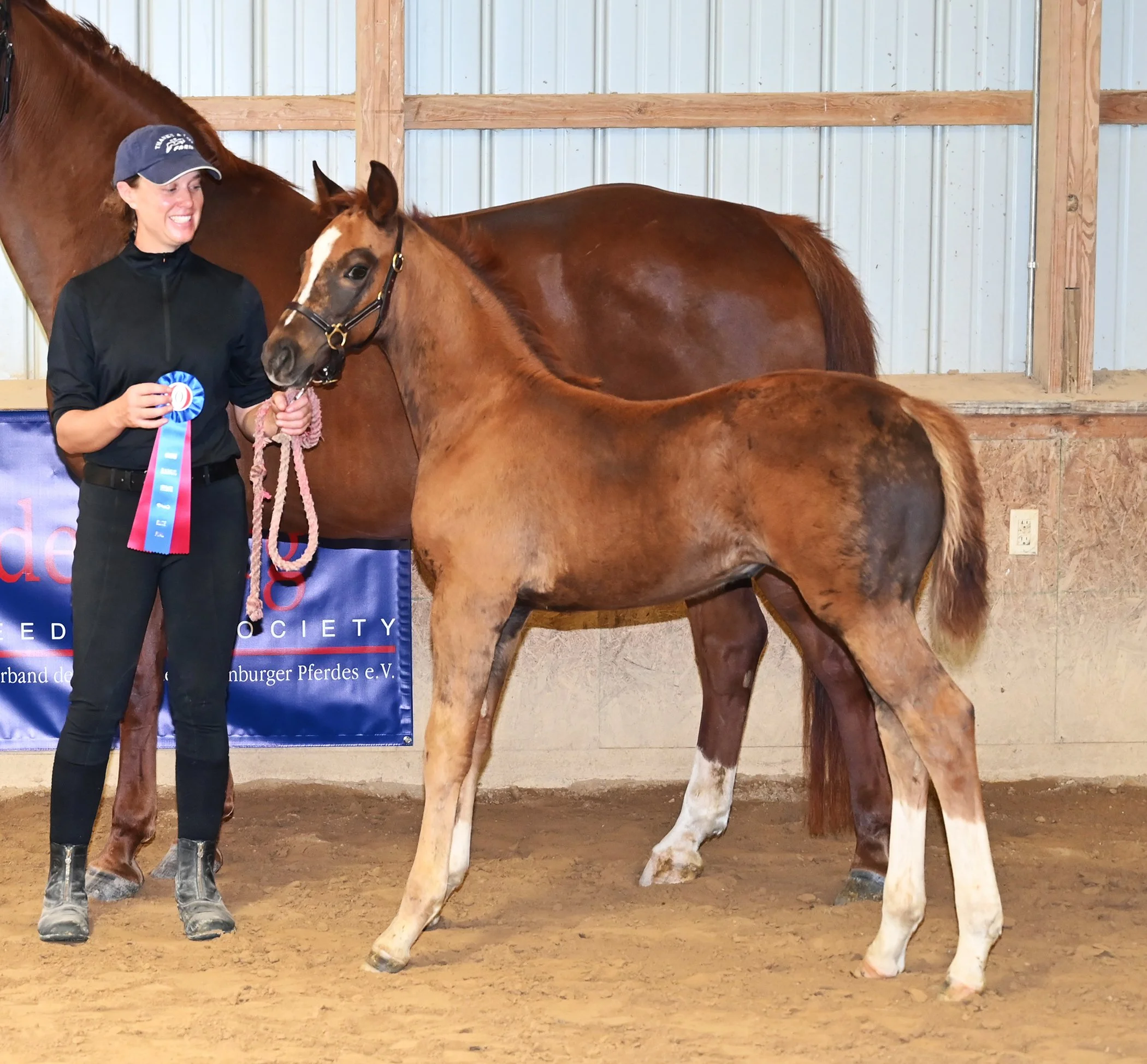 Bemuse inspection LS 2.jpg