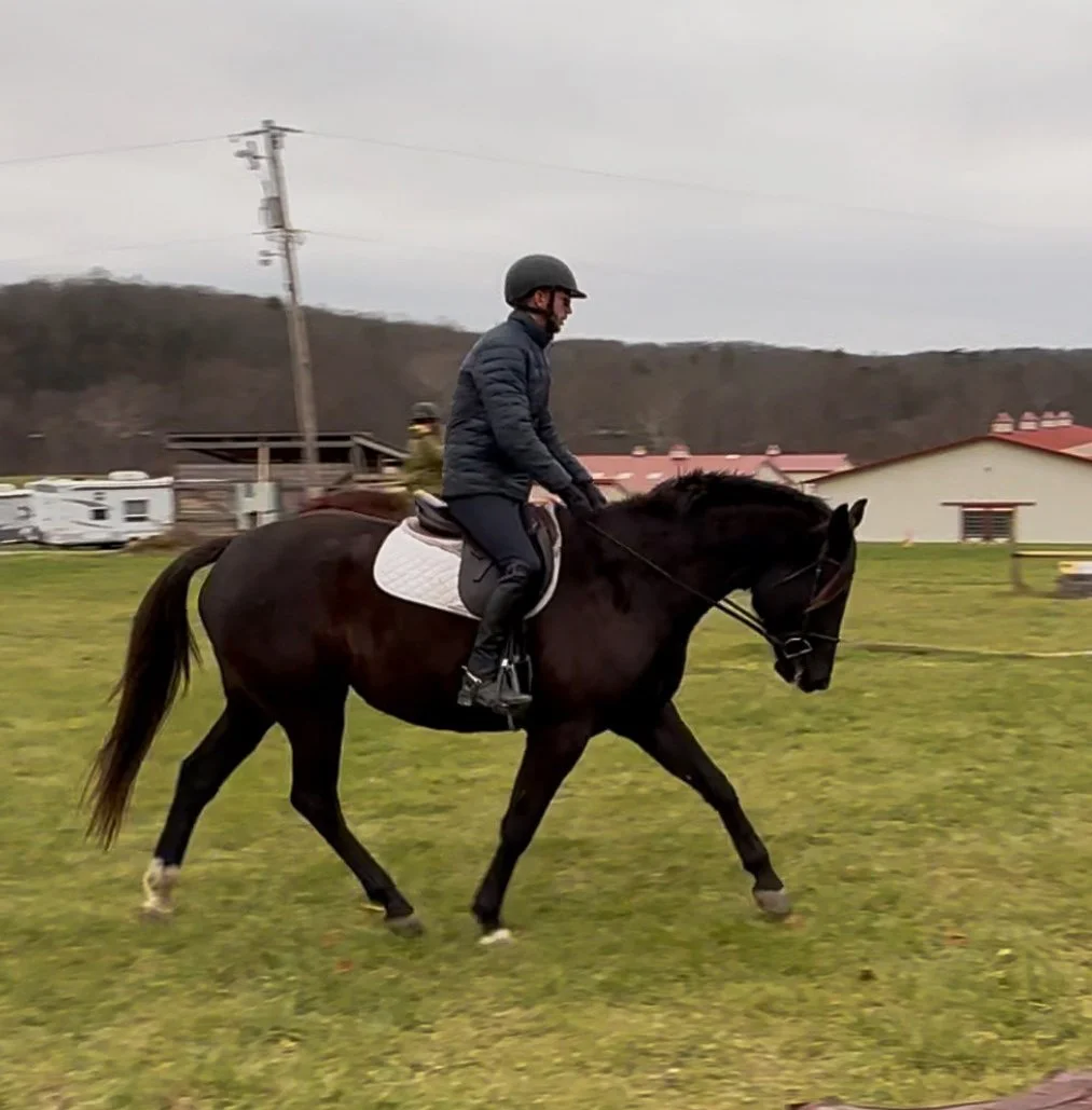 Willow trot 1.jpg