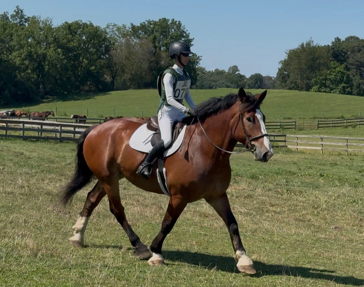 Mungo WDST xc trot 2.jpg