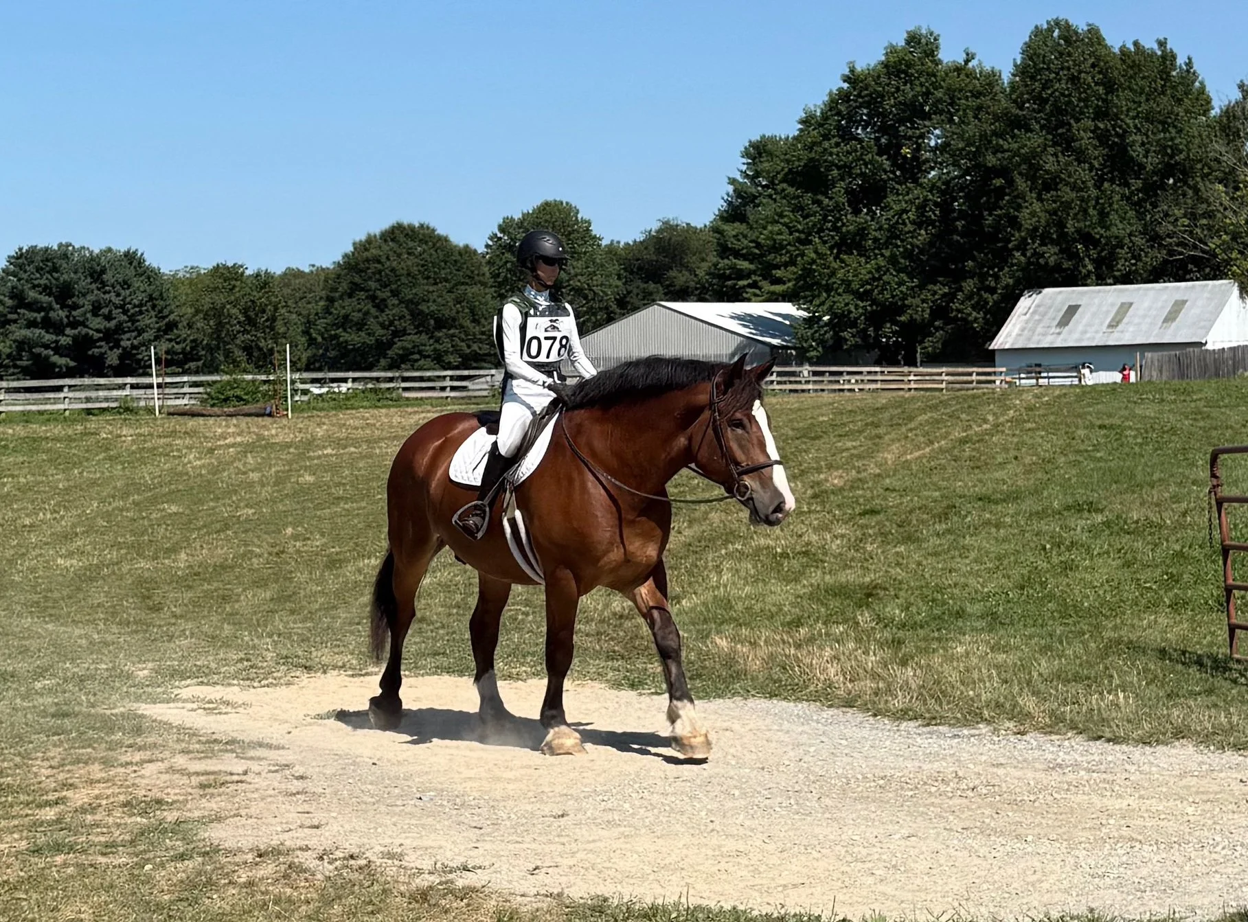 Mungo WDST xc walk 2.jpg