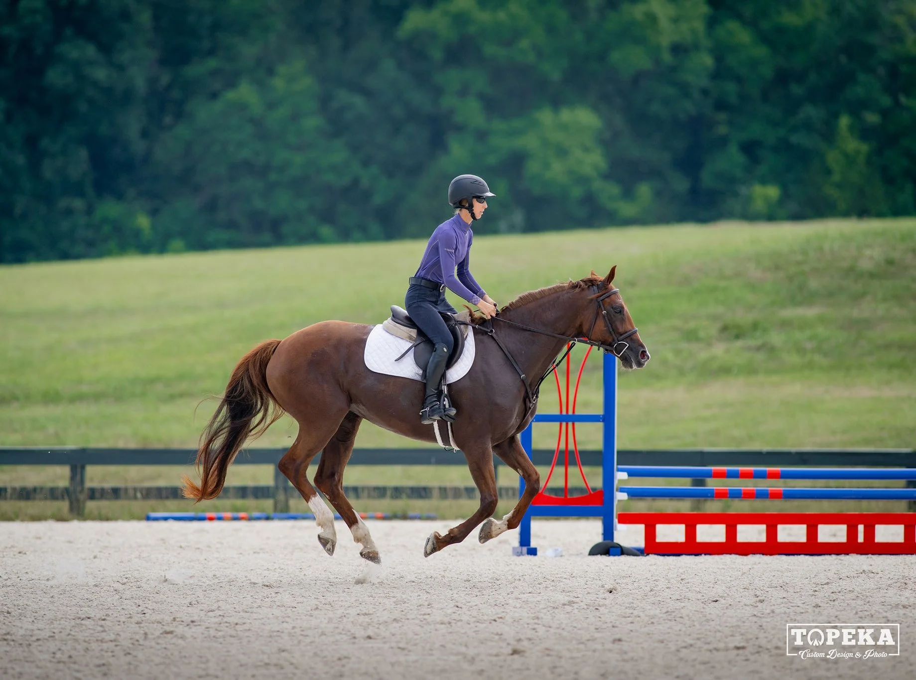 Cadenza GMJS canter 1.jpg