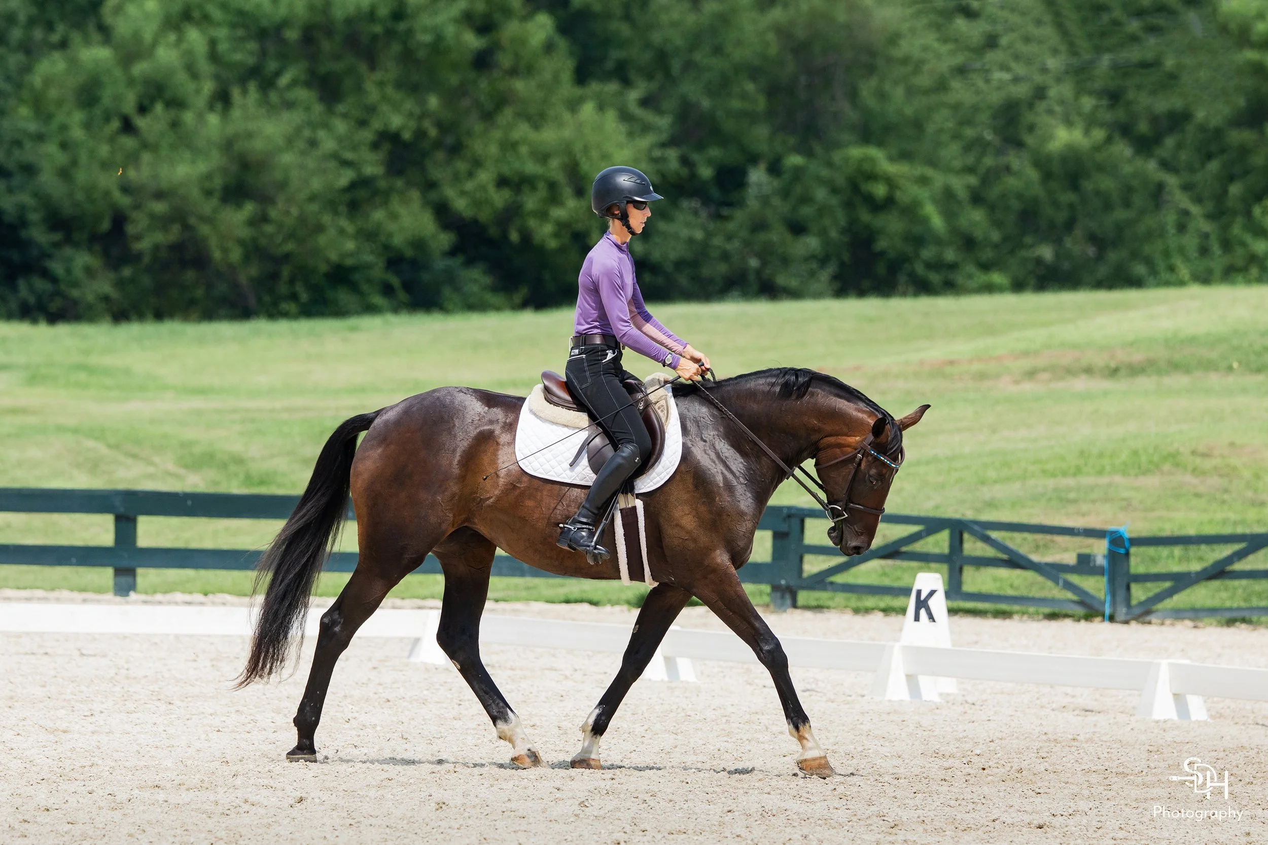 Lyra GMDS trot 1 med.jpg