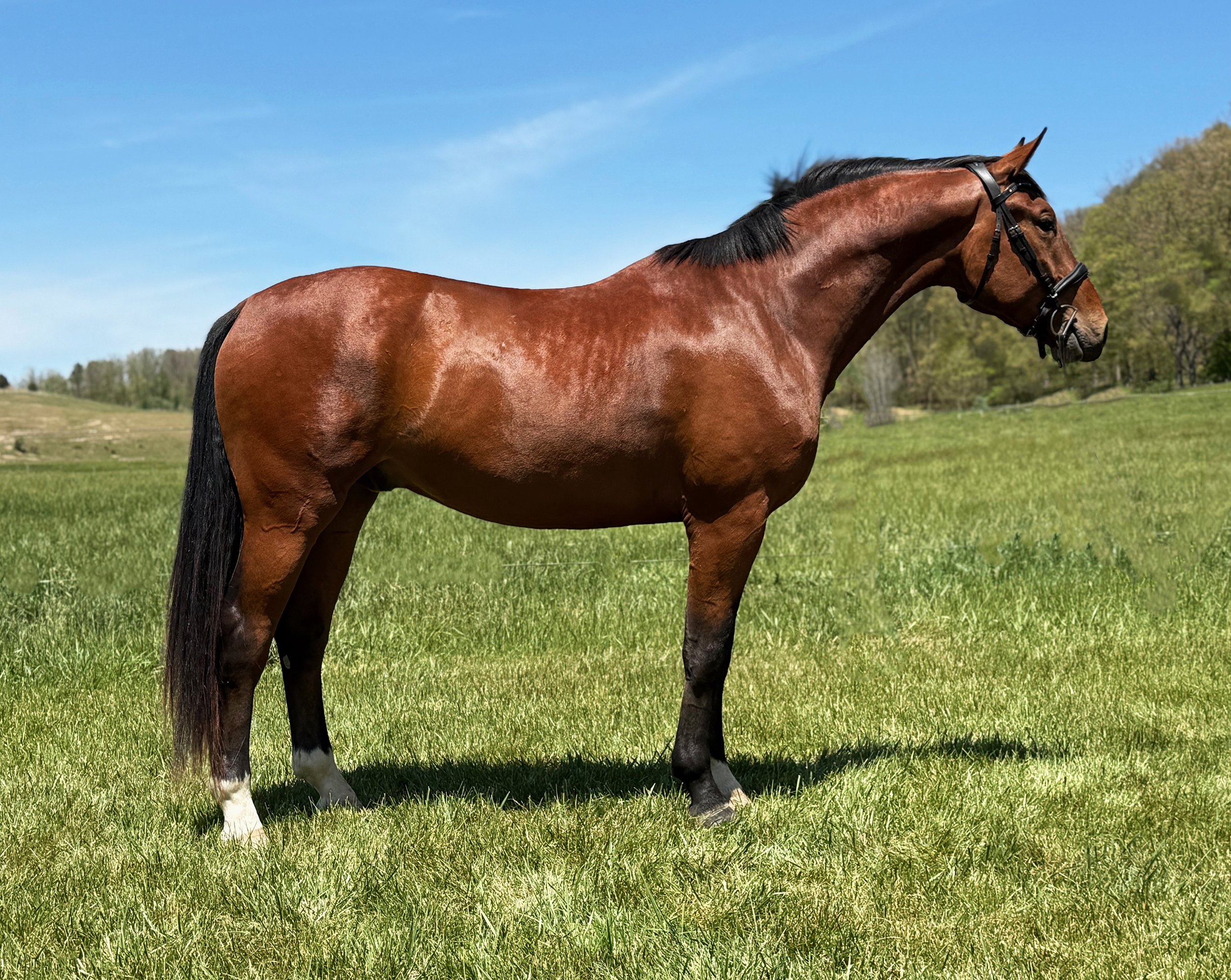 Fame RS 5-26-1G.jpg