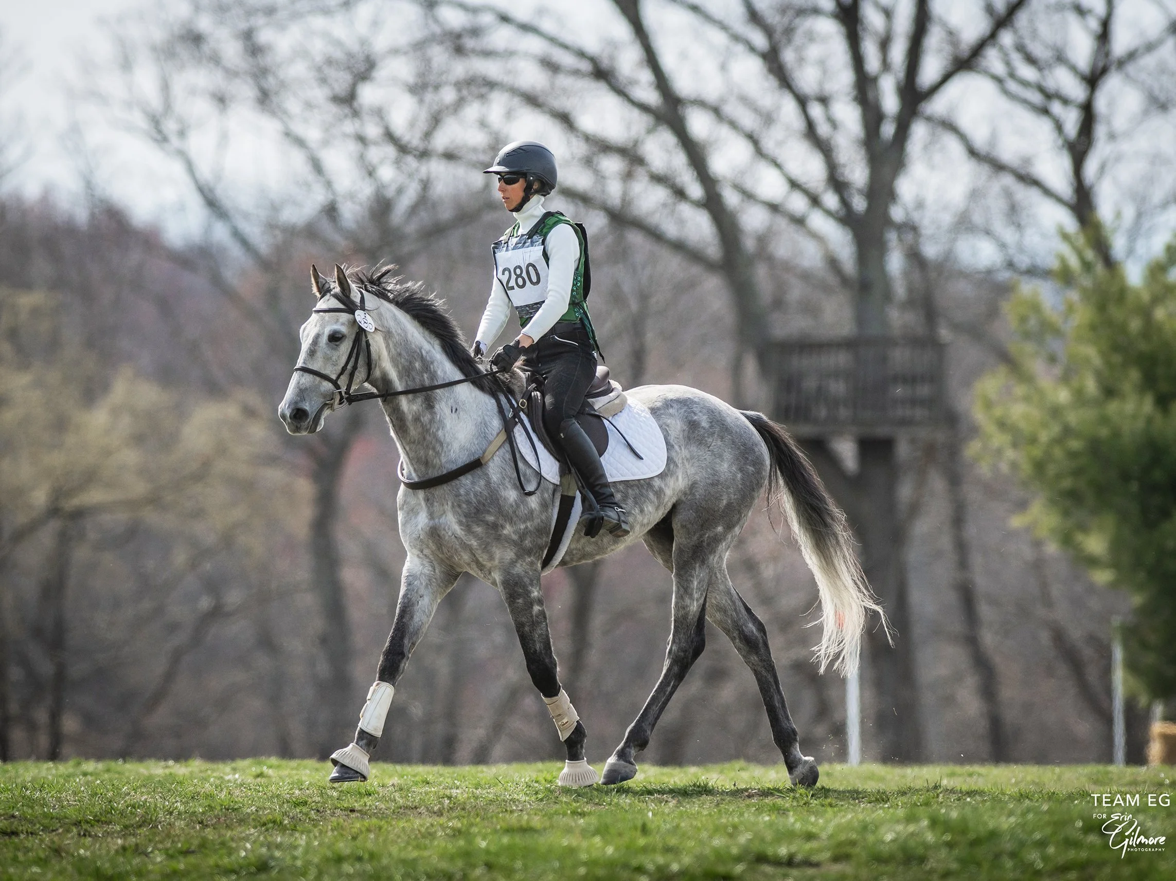 Cooper MDST ptof trot 2 med.jpg