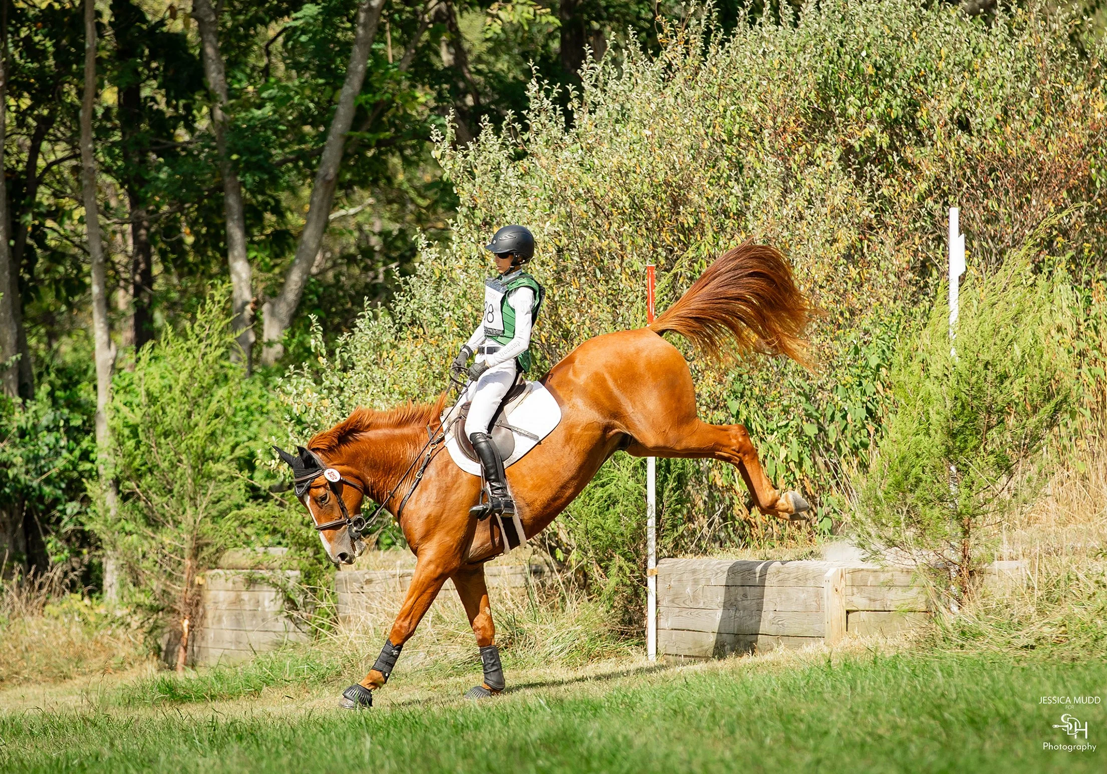 Titanium CDCTA prof xc drop 1 med.jpg