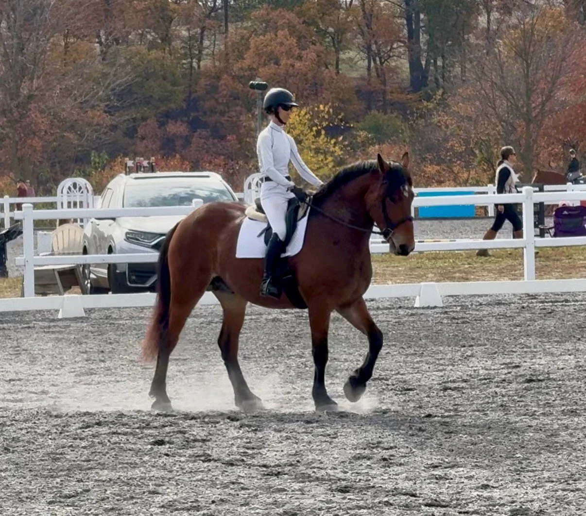 Bash MDHTST walk 1.jpg