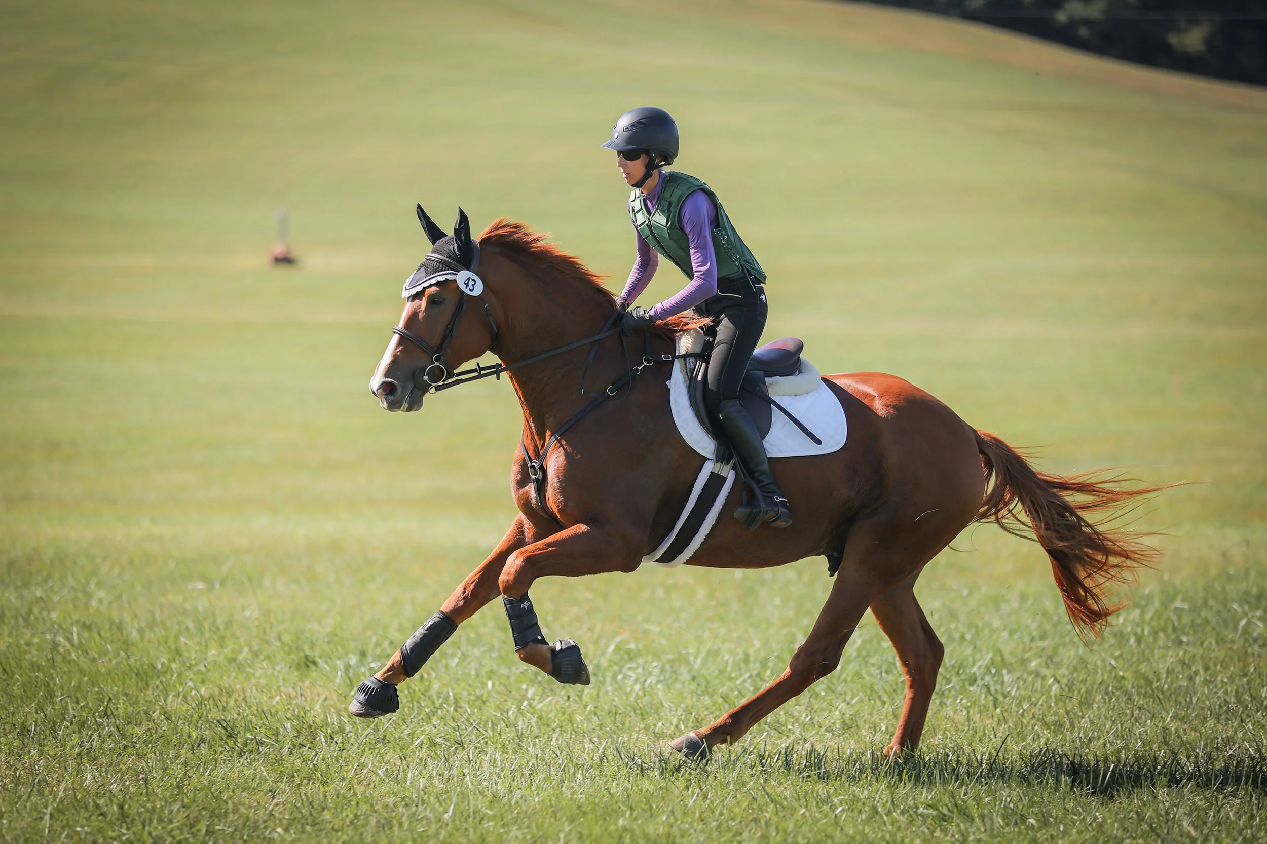 Titanium RGST prof gallop 1 med.jpg